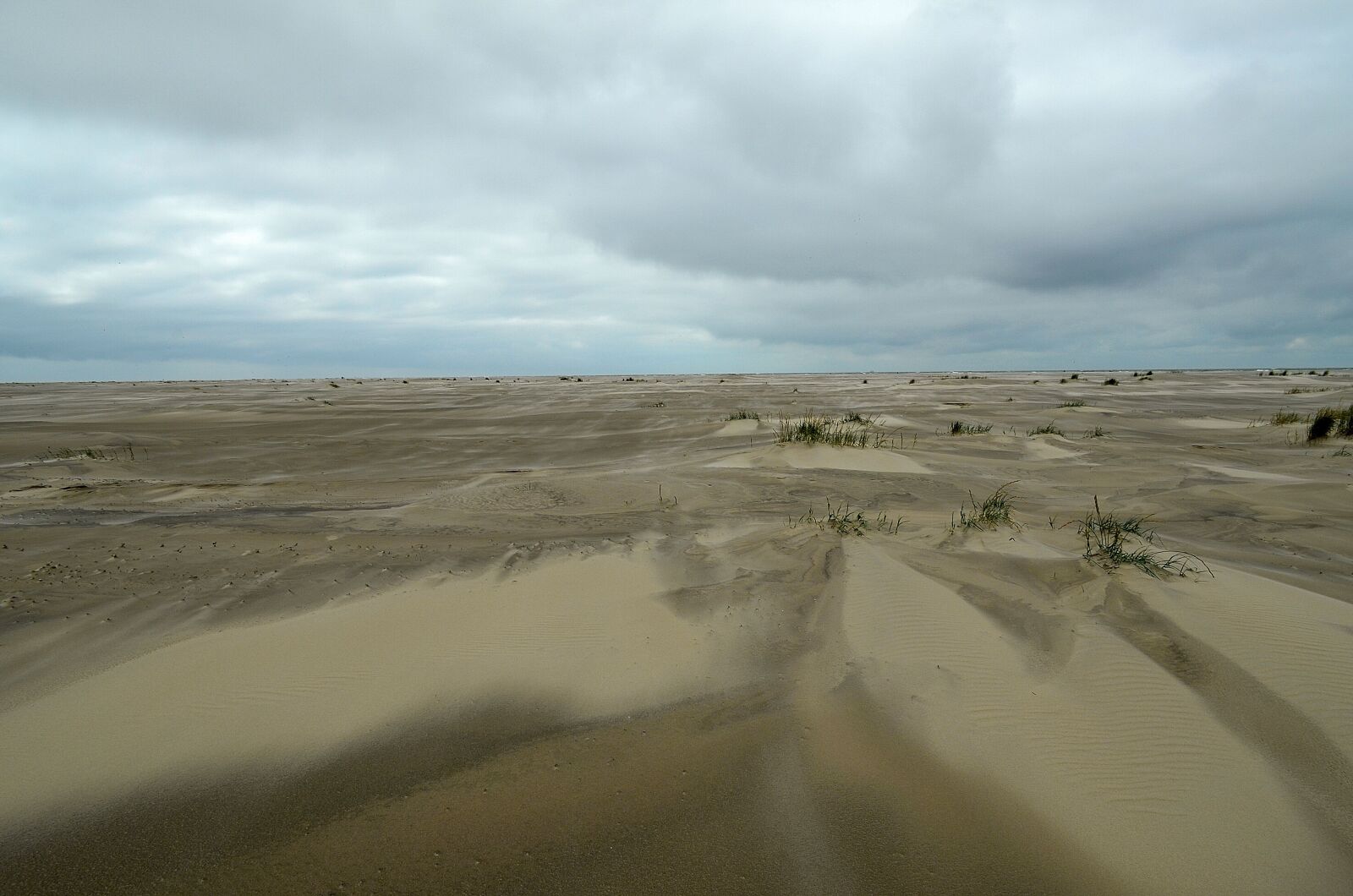 Nikon D5100 sample photo. Sea, mood, beach photography