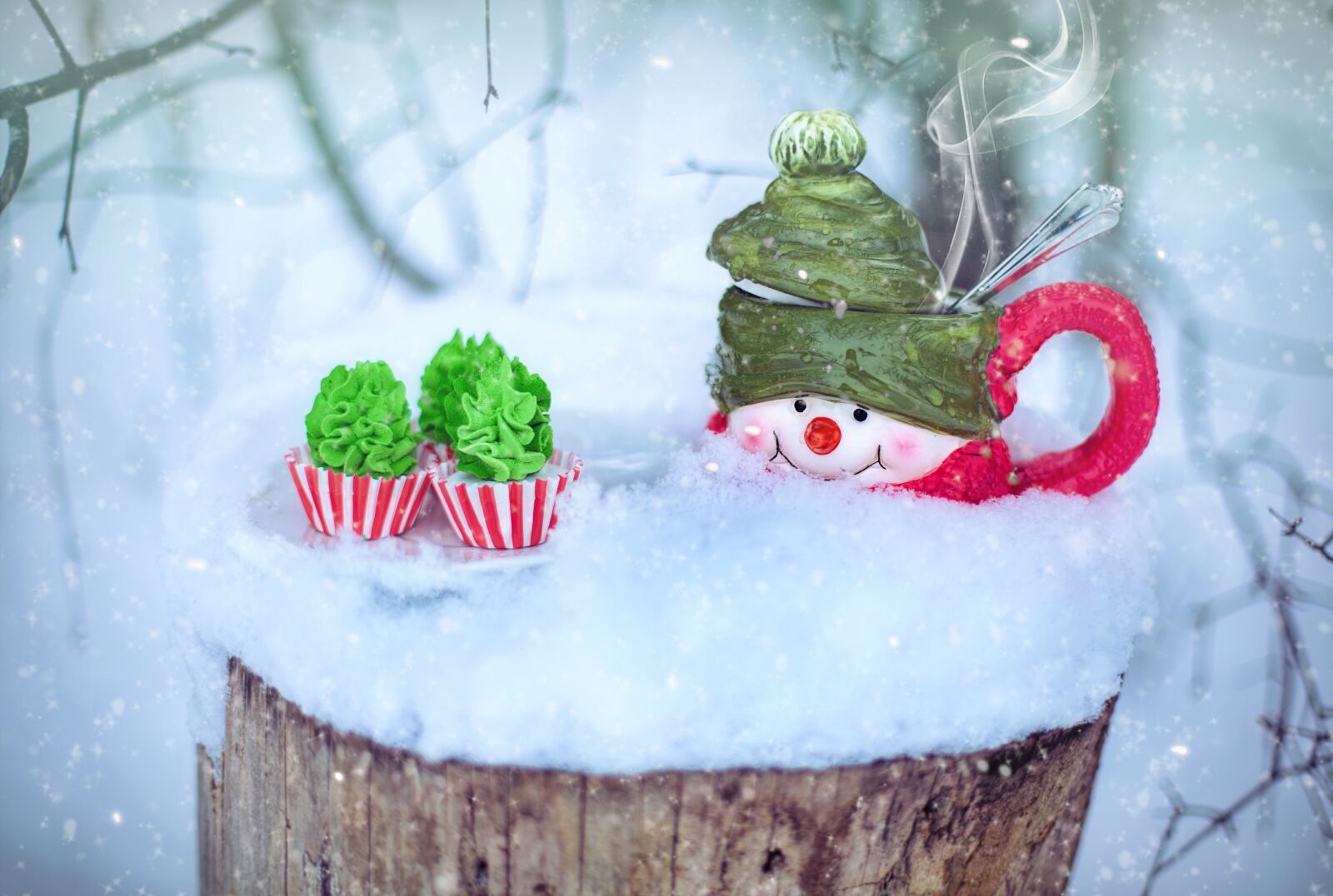 Canon EF 50mm F1.4 USM sample photo. Winter, snow, coffee photography