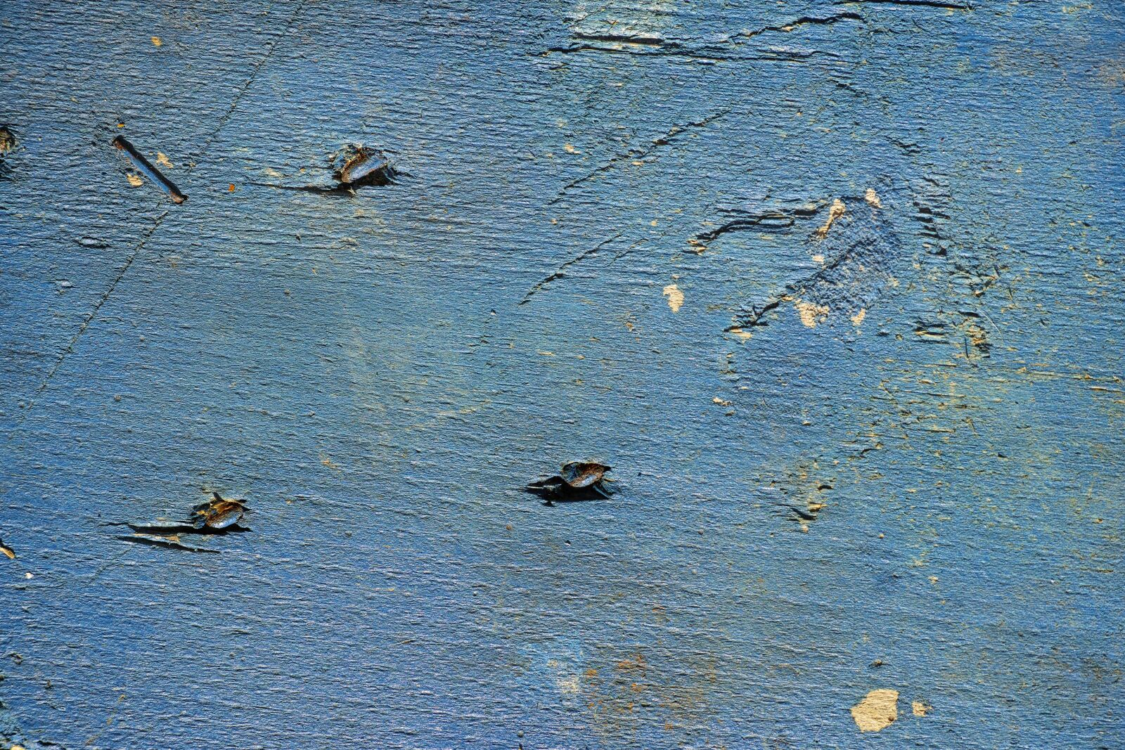 Sigma DP3 Merrill sample photo. Blue, wall, wood-fibre boards photography