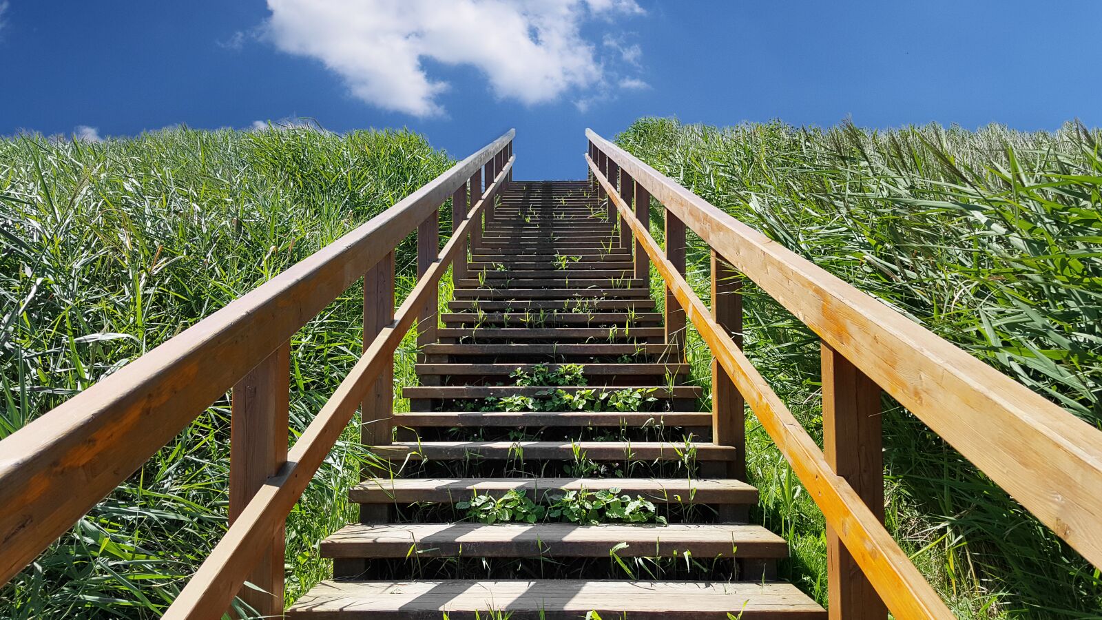 Samsung Galaxy S6 sample photo. North sea, stairs, wood photography