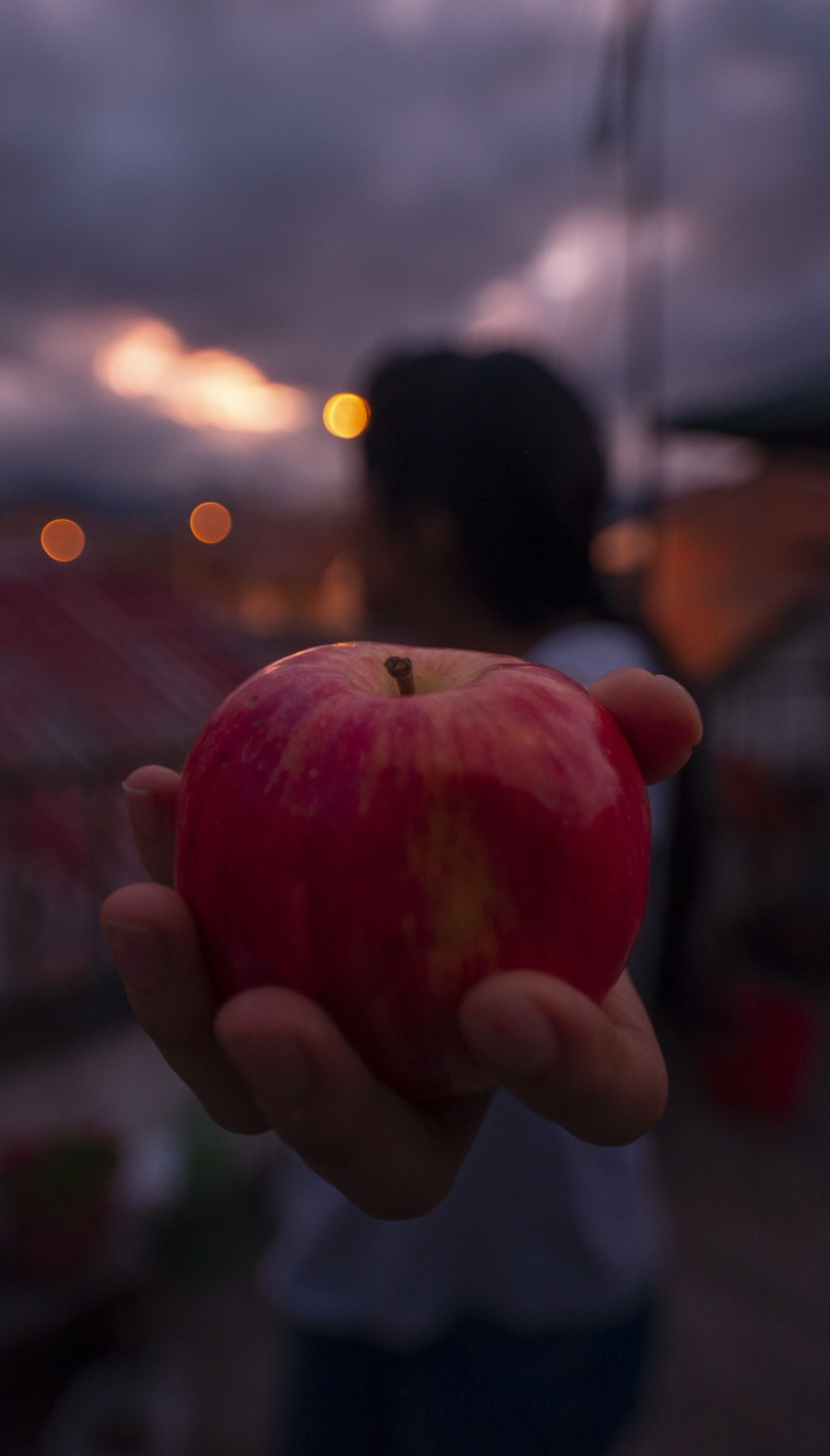 Nikon D600 sample photo. Apple, angular, manzano photography