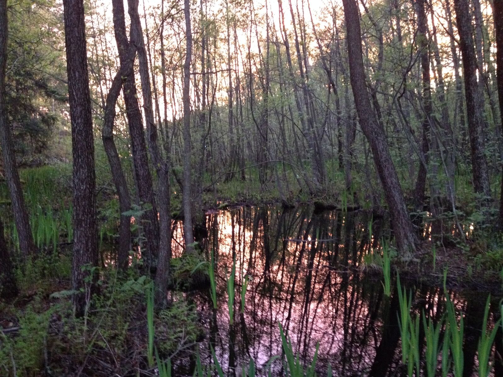 iPhone 4S back camera 4.28mm f/2.4 sample photo. Reflections, sunset, water photography