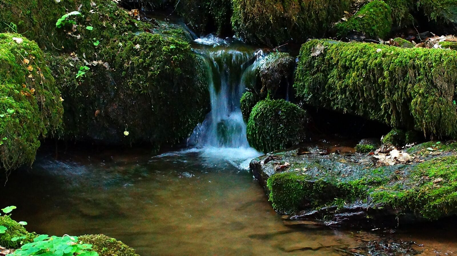 Sony SLT-A65 (SLT-A65V) sample photo. Creek, small waterfall, small photography
