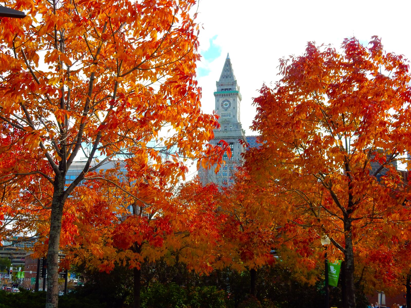 Nikon Coolpix S9700 sample photo. Boston, autumn, tree photography