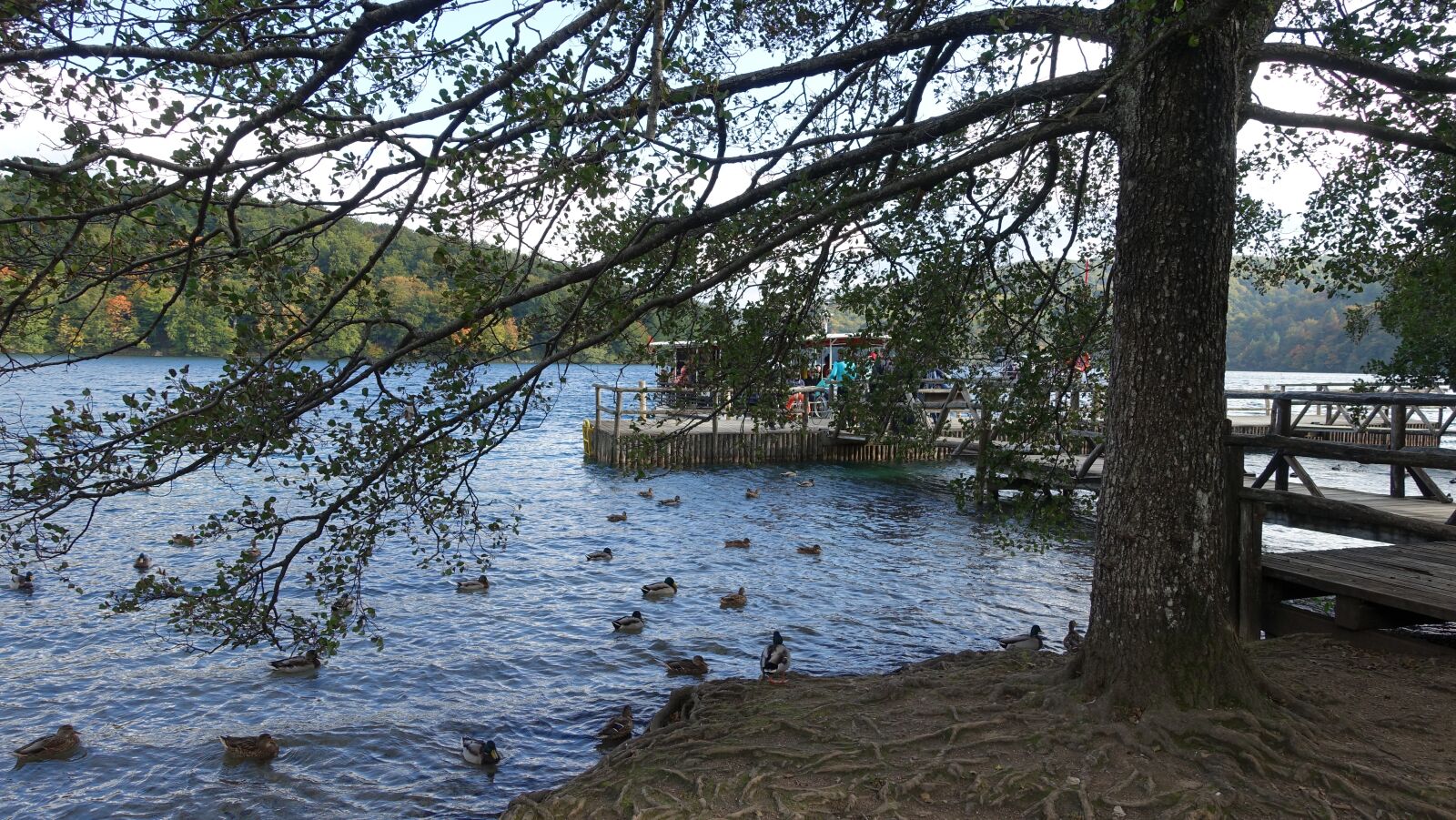 Sony Cyber-shot DSC-RX100 III sample photo. The body of water photography