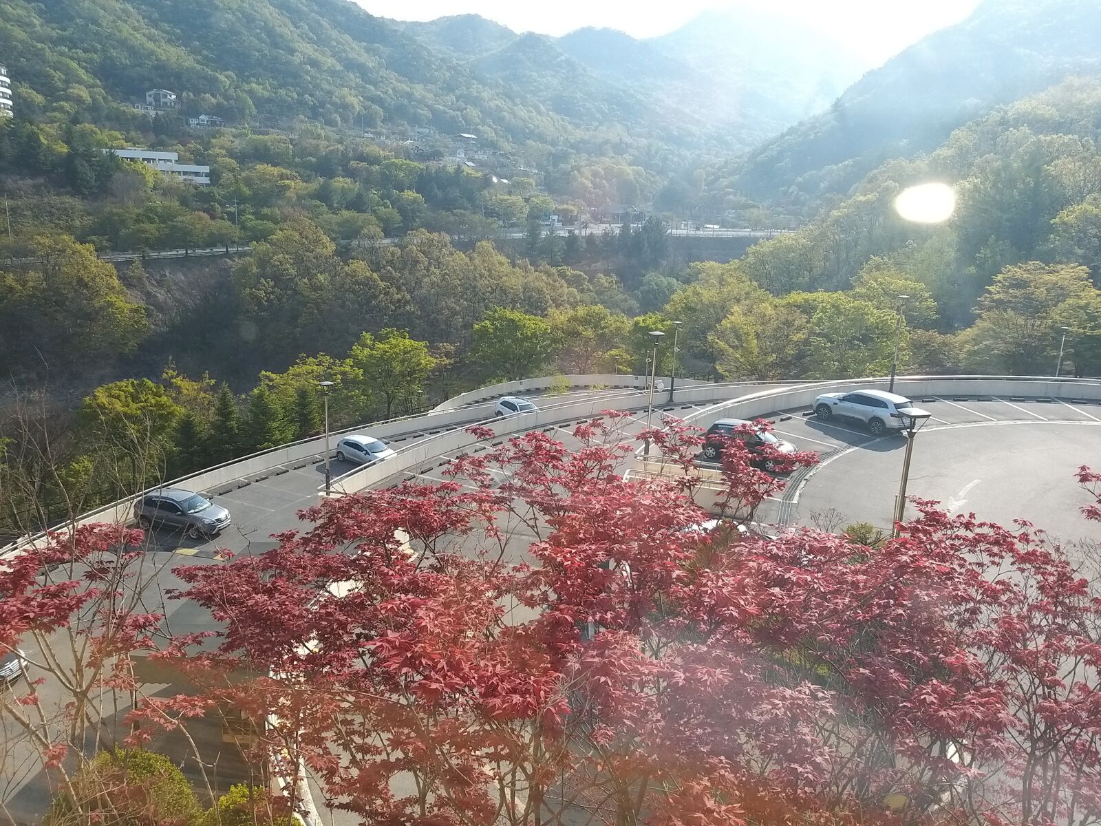 Samsung Galaxy A9 (2018) sample photo. Tree, scenery, airport photography