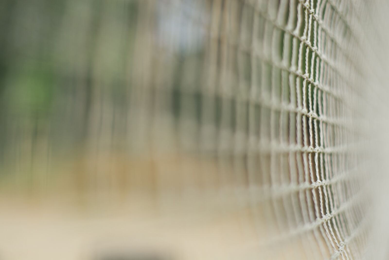Nikon D200 sample photo. The grid, blur, bokeh photography