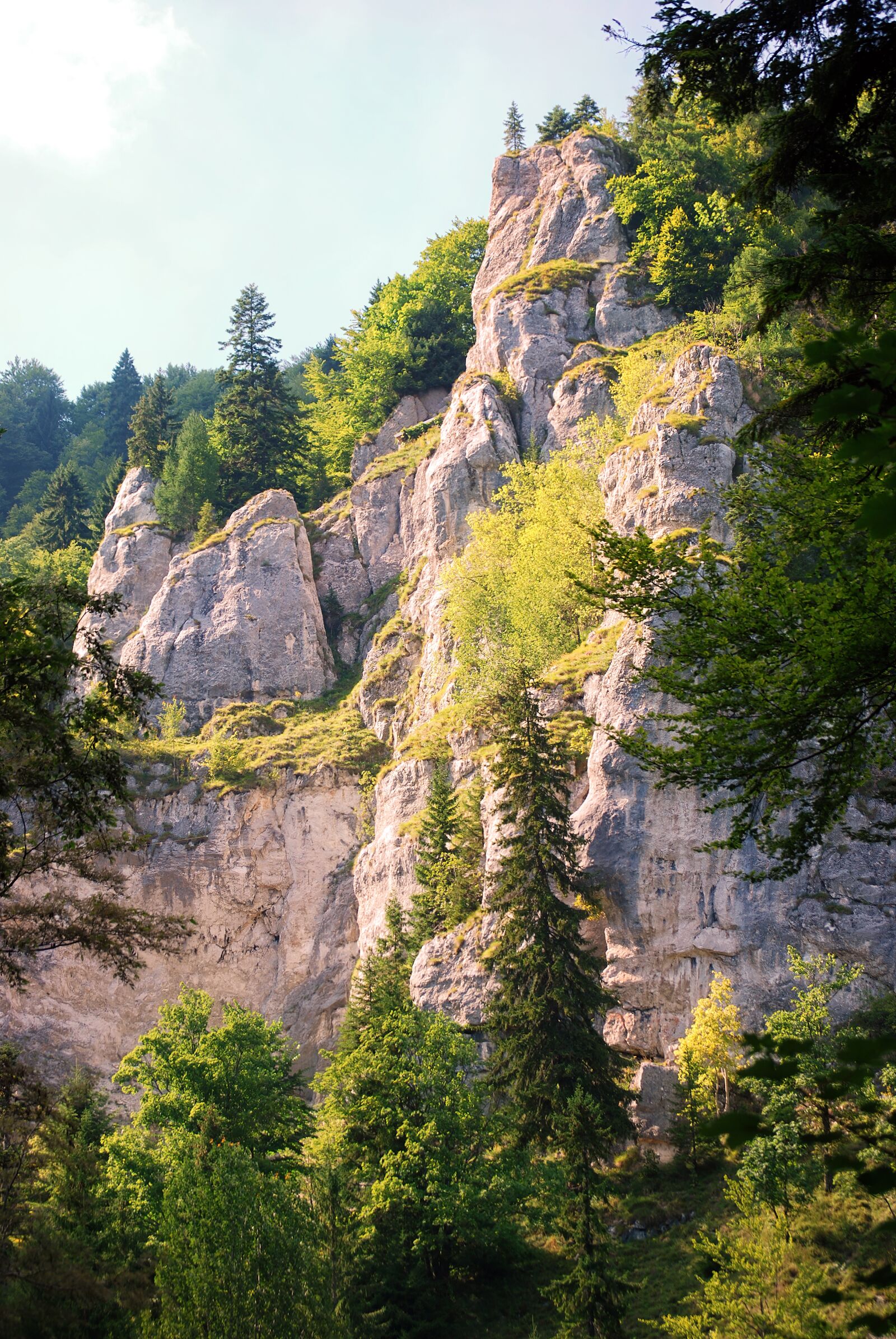 Nikon D40X sample photo. Landscape, nature, mountain photography