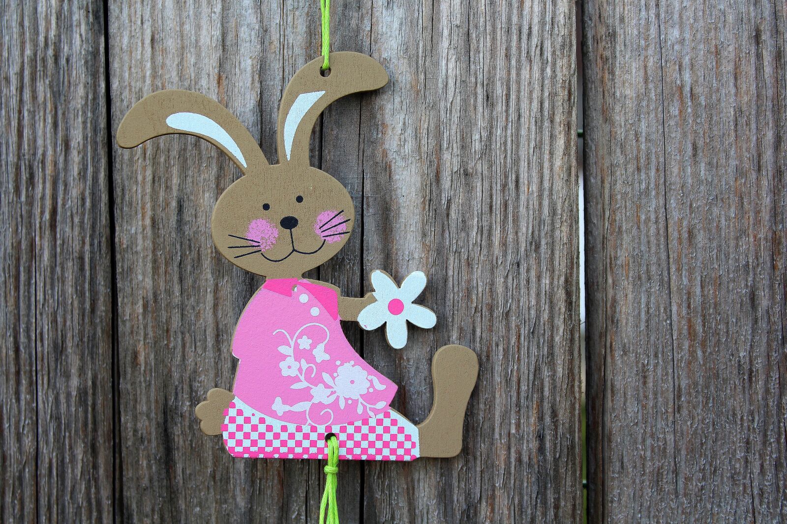 Canon EOS 1200D (EOS Rebel T5 / EOS Kiss X70 / EOS Hi) sample photo. Bunny, ornament, decoration photography