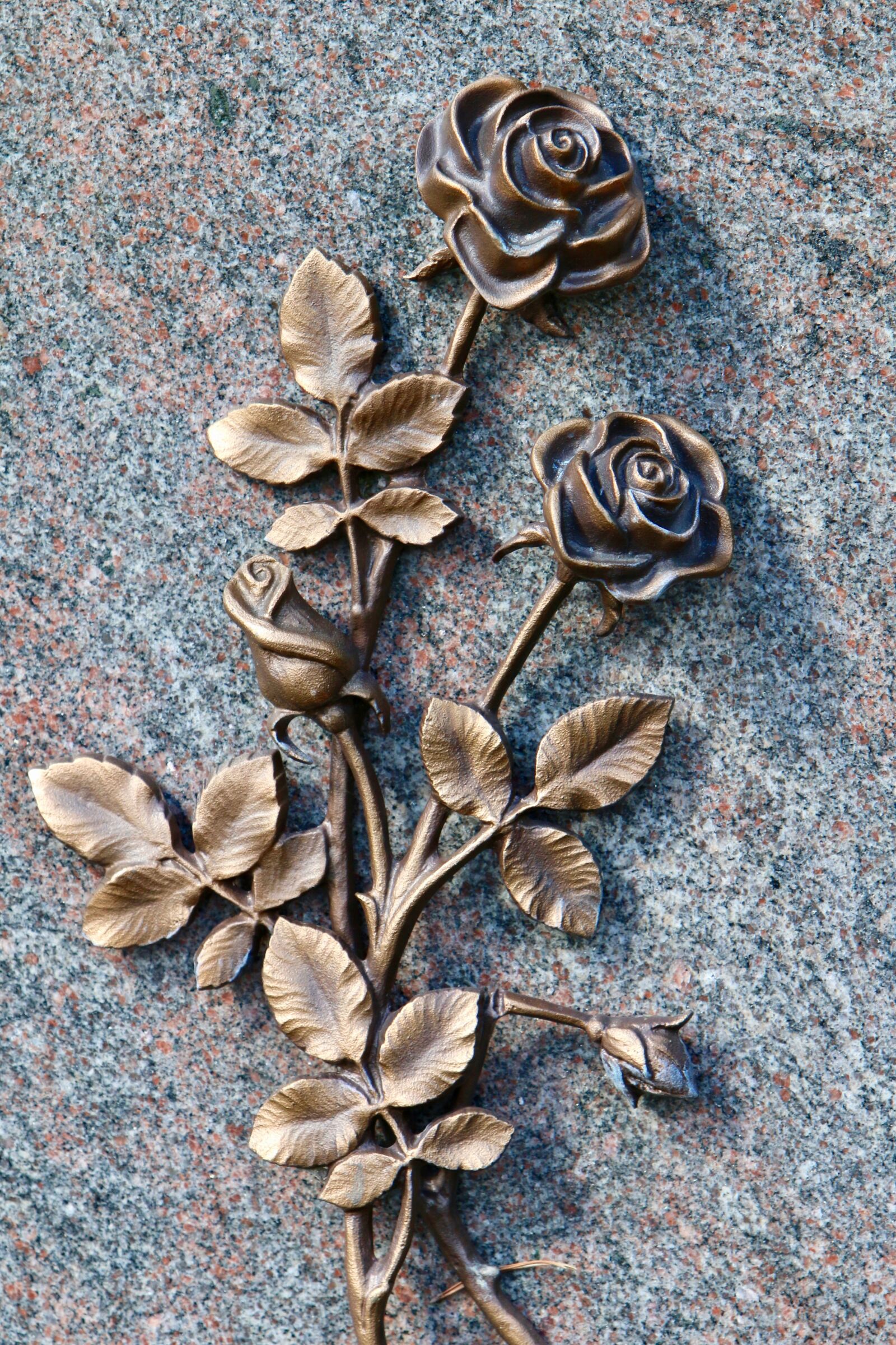 Canon EOS 70D sample photo. Roses, bronze, forged photography