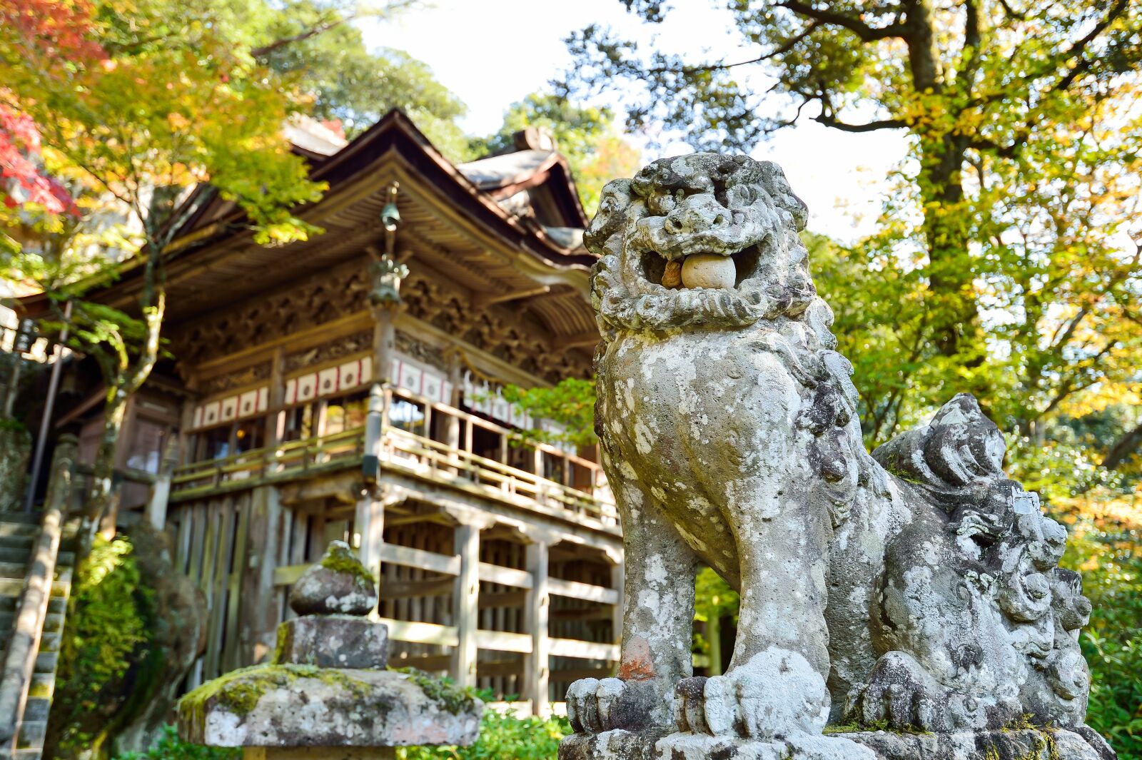 Nikon Df sample photo. Japan, landscape, natural photography