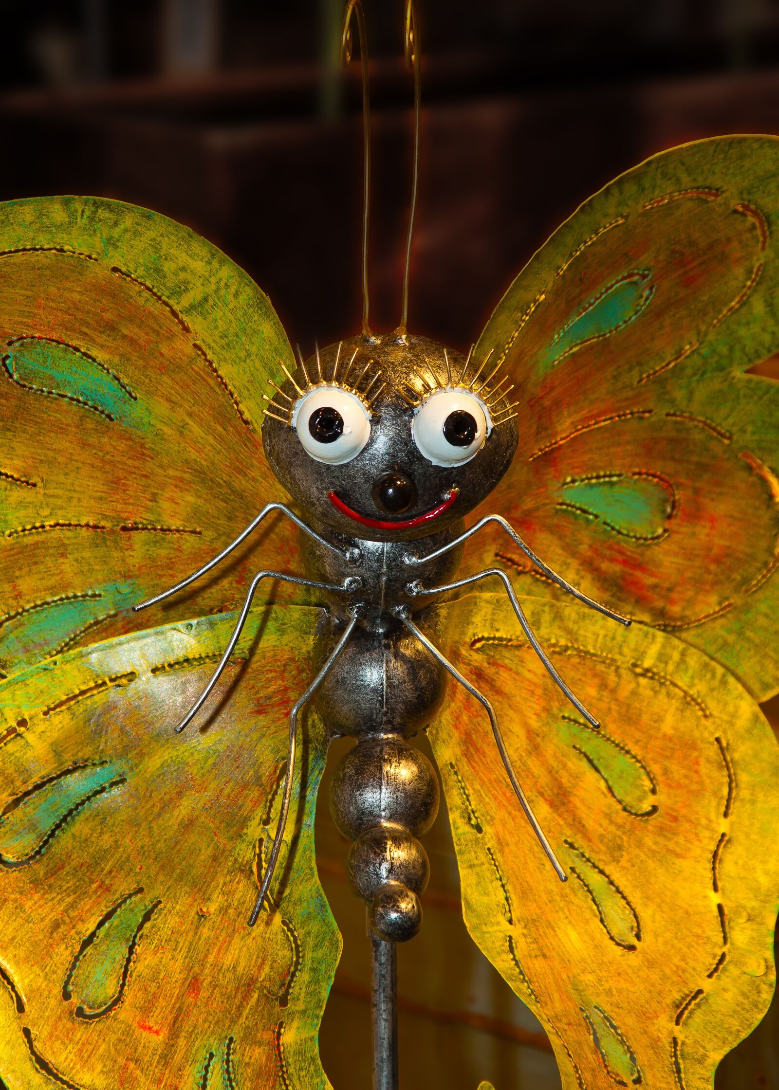 Canon EOS 50D + Canon EF 24-105mm F4L IS USM sample photo. Butterfly, figure, metal photography