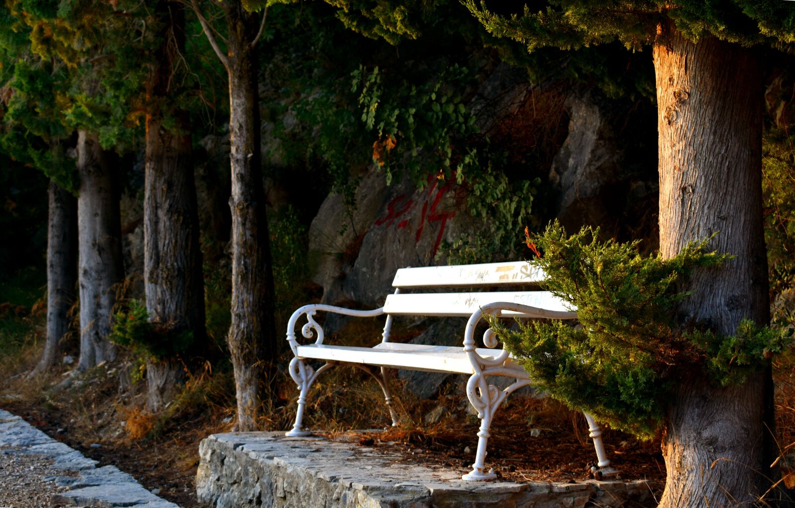 Nikon D3400 sample photo. Bench, arbor, arbour photography