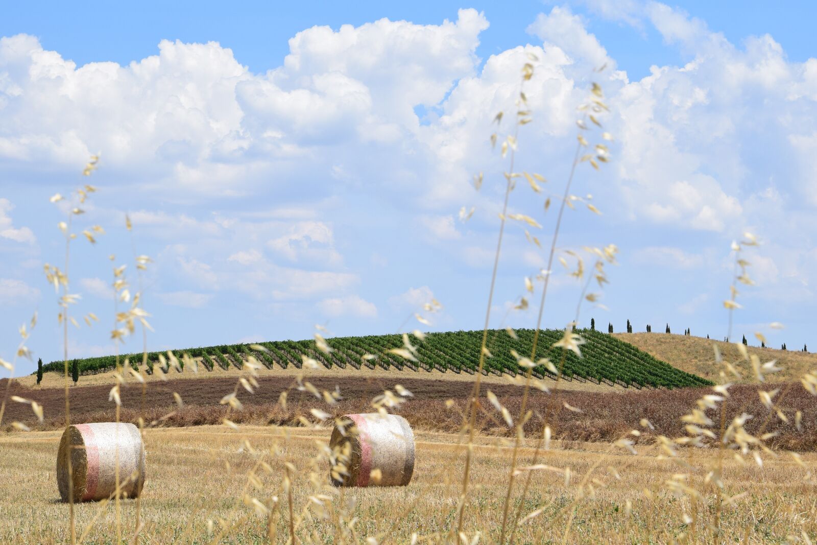 Nikon D3300 sample photo. Tuscany, hay bales, panorama photography