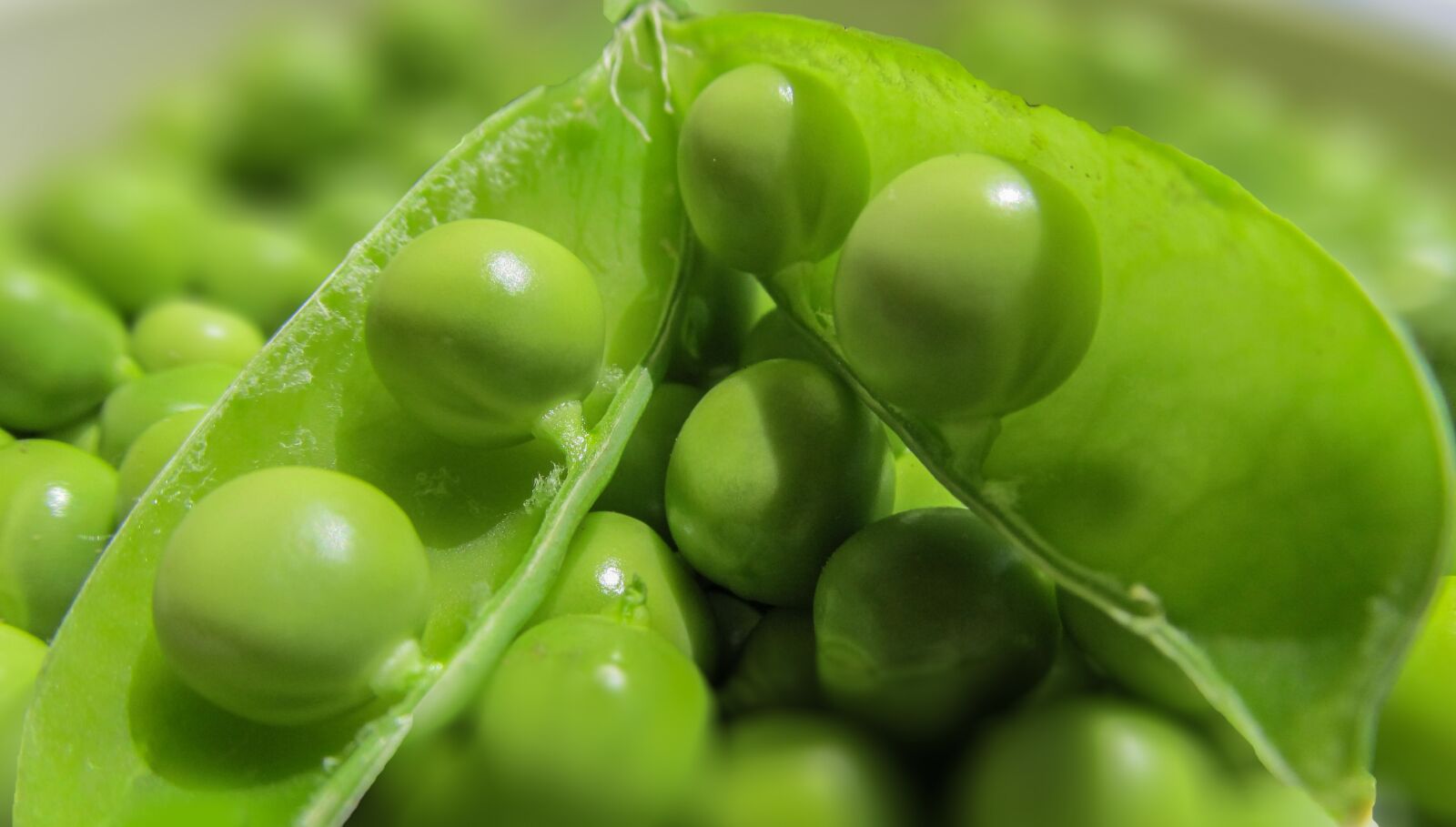 Canon PowerShot SX130 IS sample photo. Peas, pods, vegetables photography