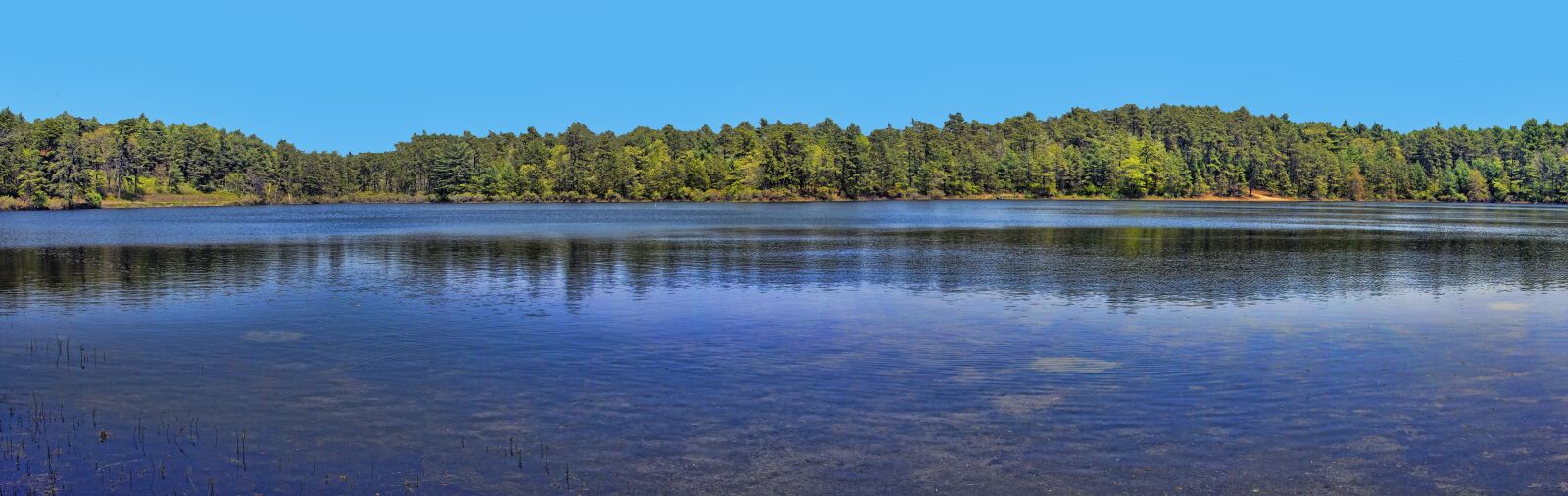 Nikon D7200 sample photo. Lake, wild, nature photography