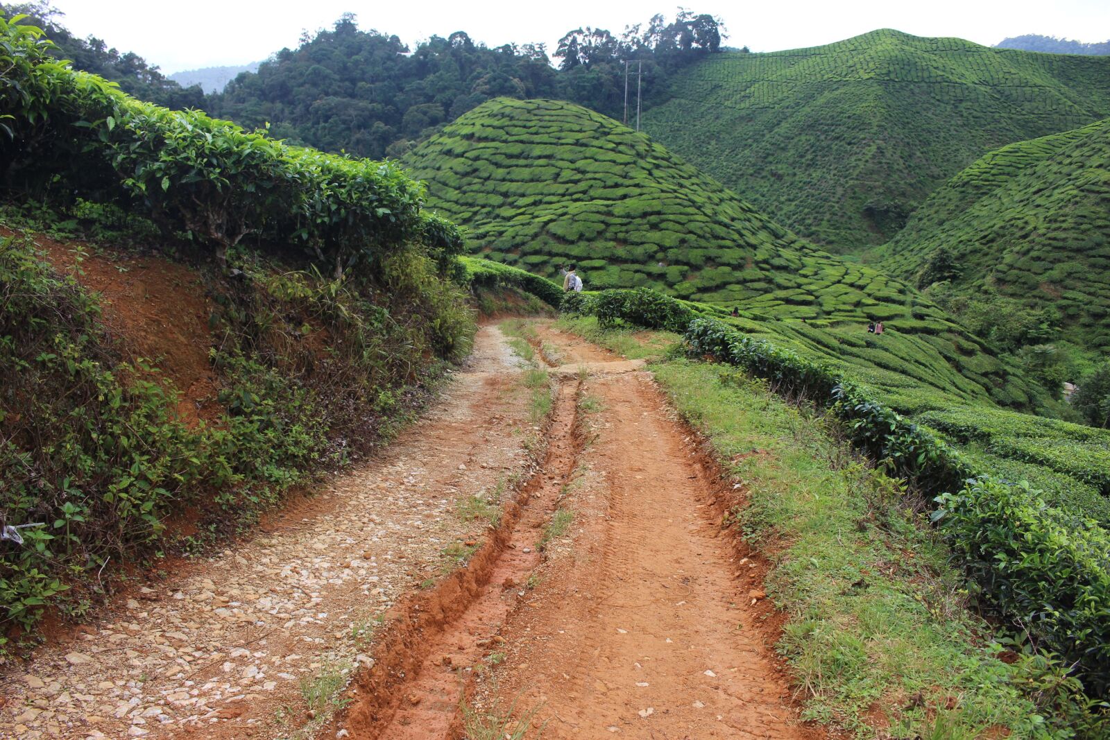 Canon EOS 700D (EOS Rebel T5i / EOS Kiss X7i) sample photo. Nature, roads, soil photography