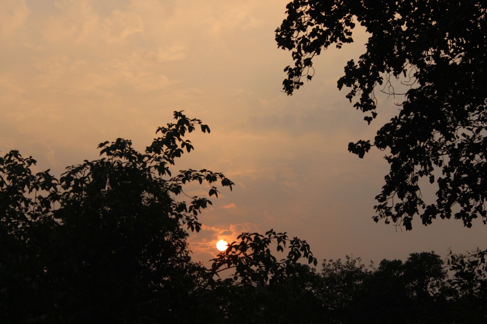 Canon EOS 700D (EOS Rebel T5i / EOS Kiss X7i) sample photo. Nature, sun, sunset photography