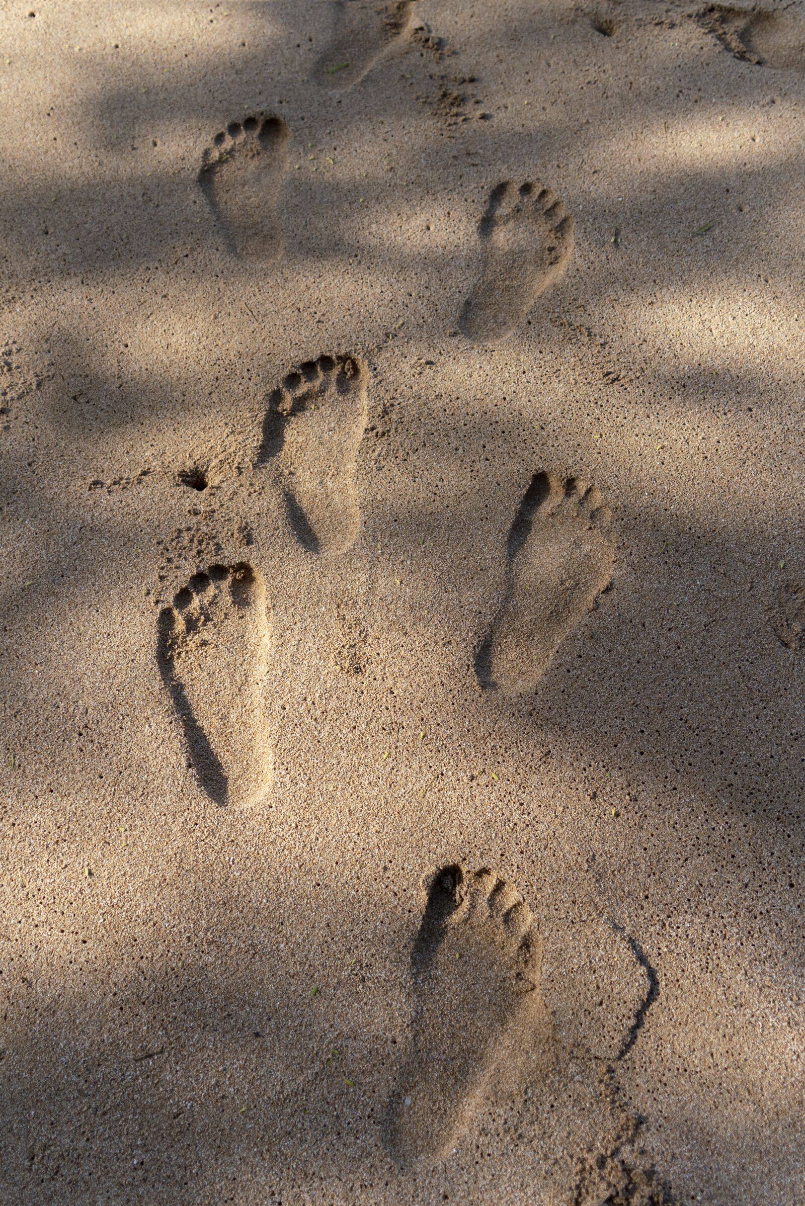 Sony a7R III + Sony FE 24-240mm F3.5-6.3 OSS sample photo. Feet, sand, footprint photography