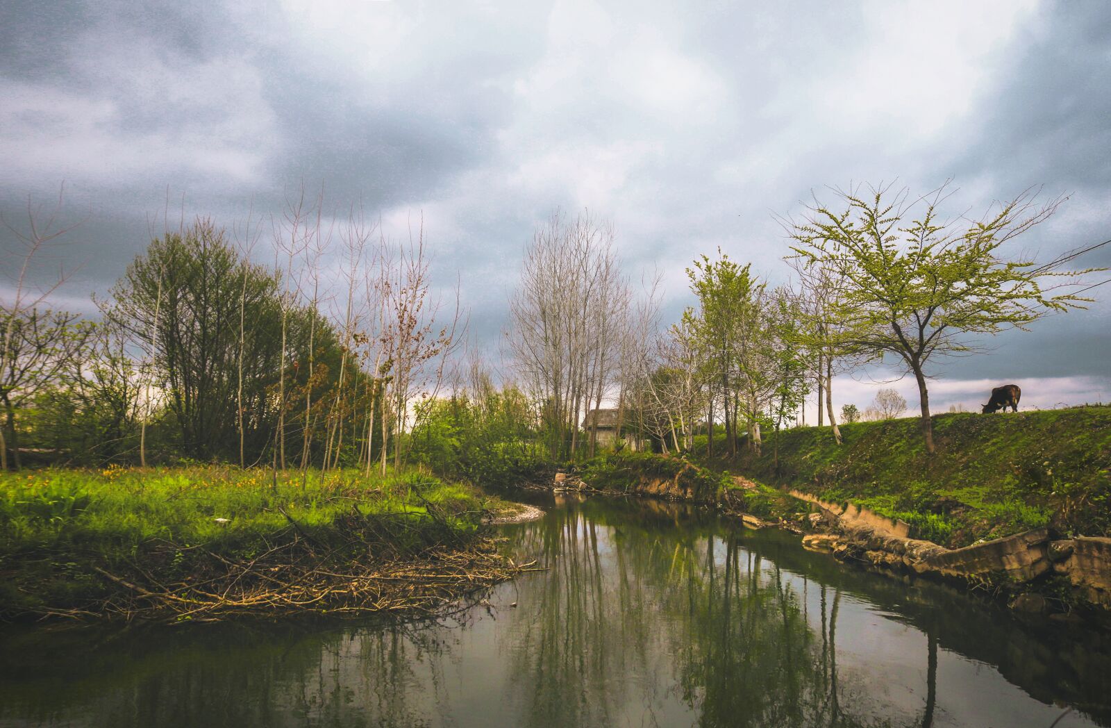 Canon EOS 750D (EOS Rebel T6i / EOS Kiss X8i) sample photo. Nature, landscape, sky photography