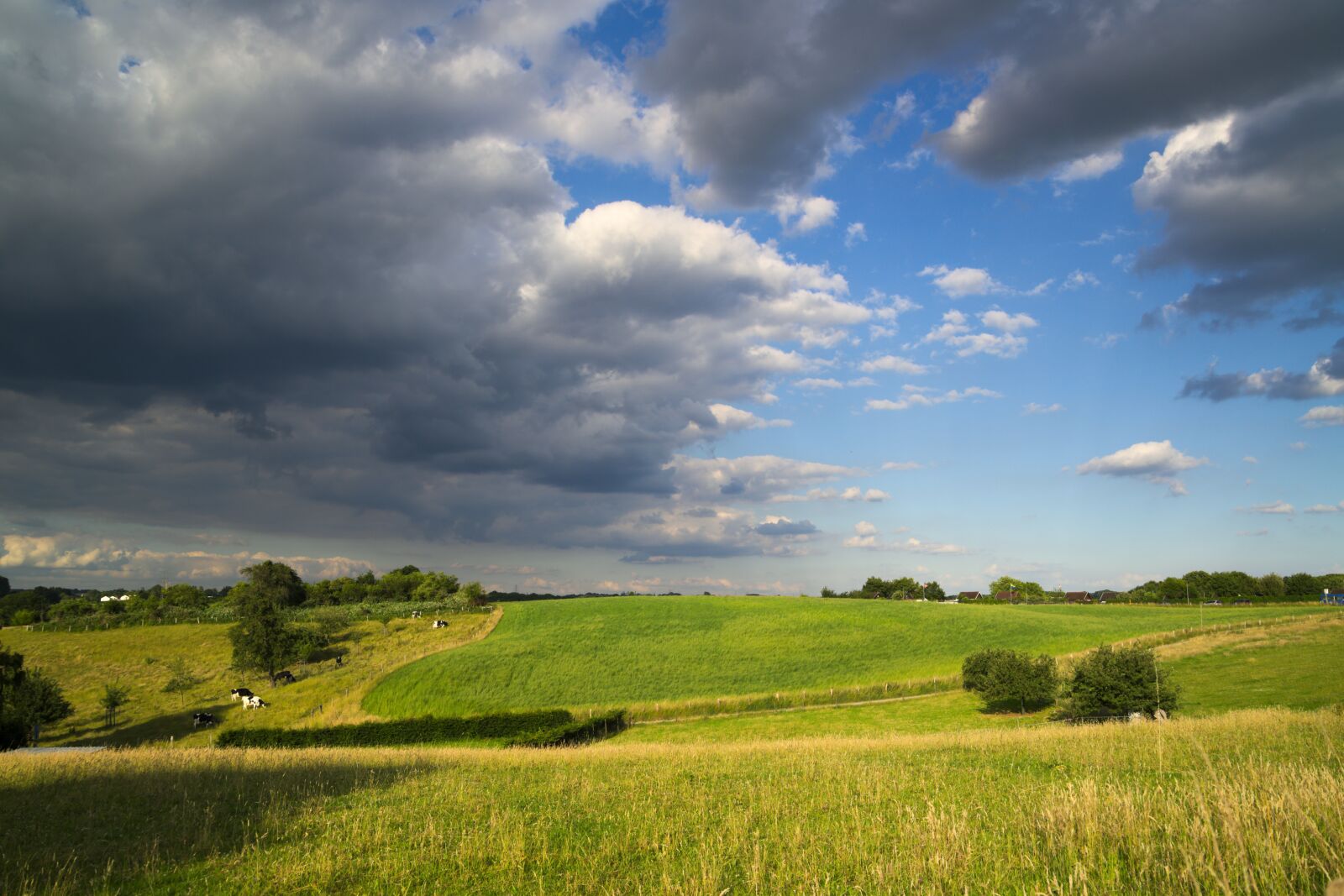 Nikon D600 sample photo. Weather, clouds, sky photography