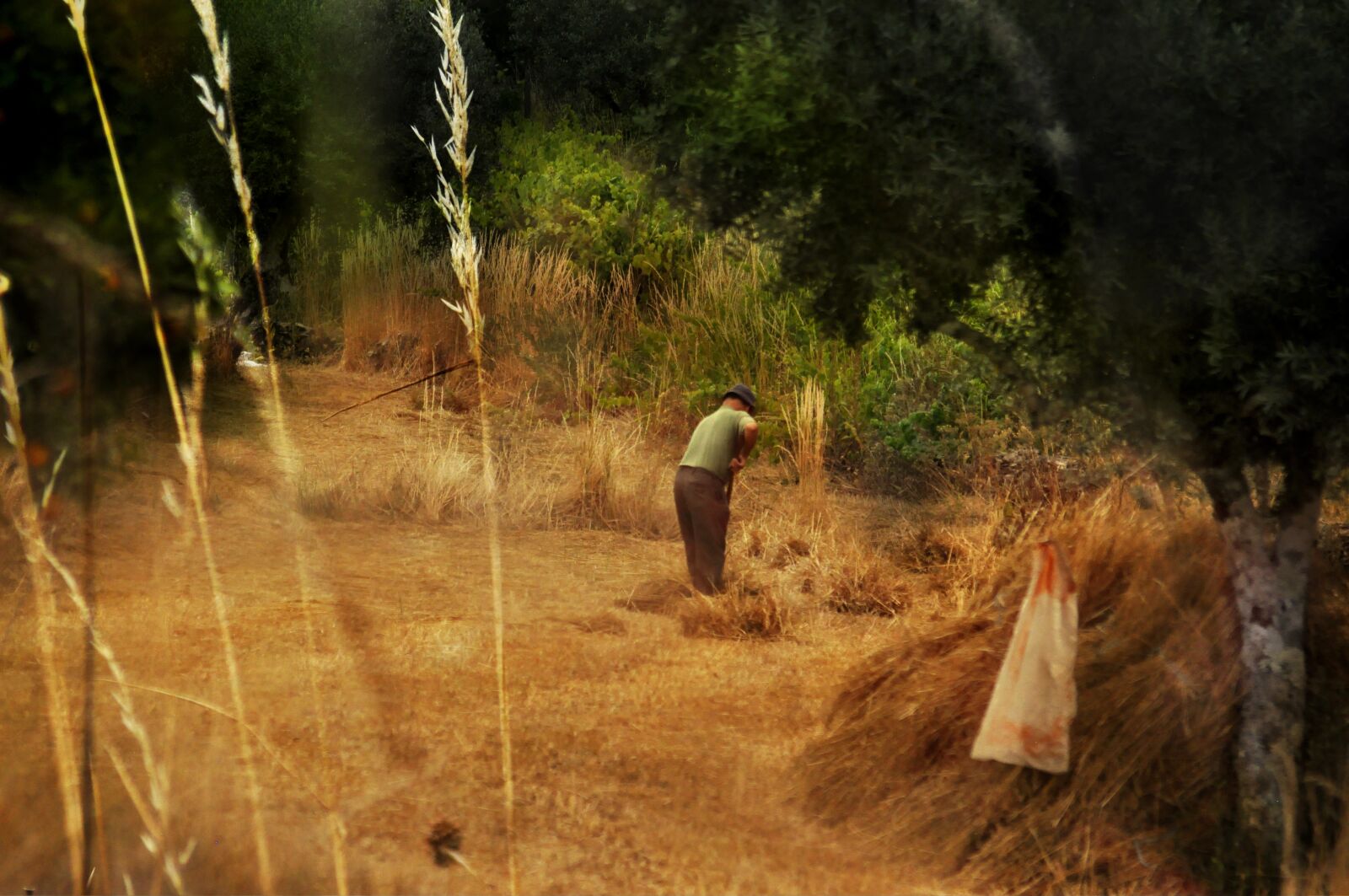 Nikon D90 sample photo. Farm, farming, agriculture photography