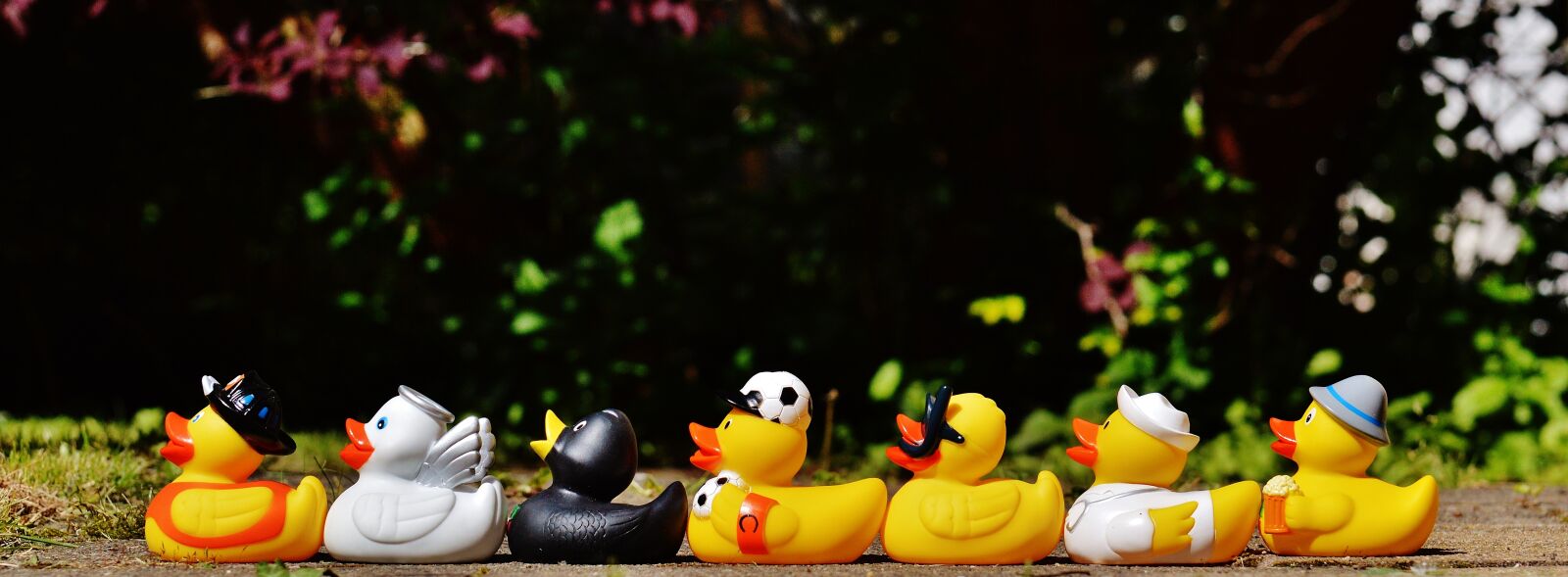 Nikon D3200 sample photo. Rubber ducks, bath ducks photography