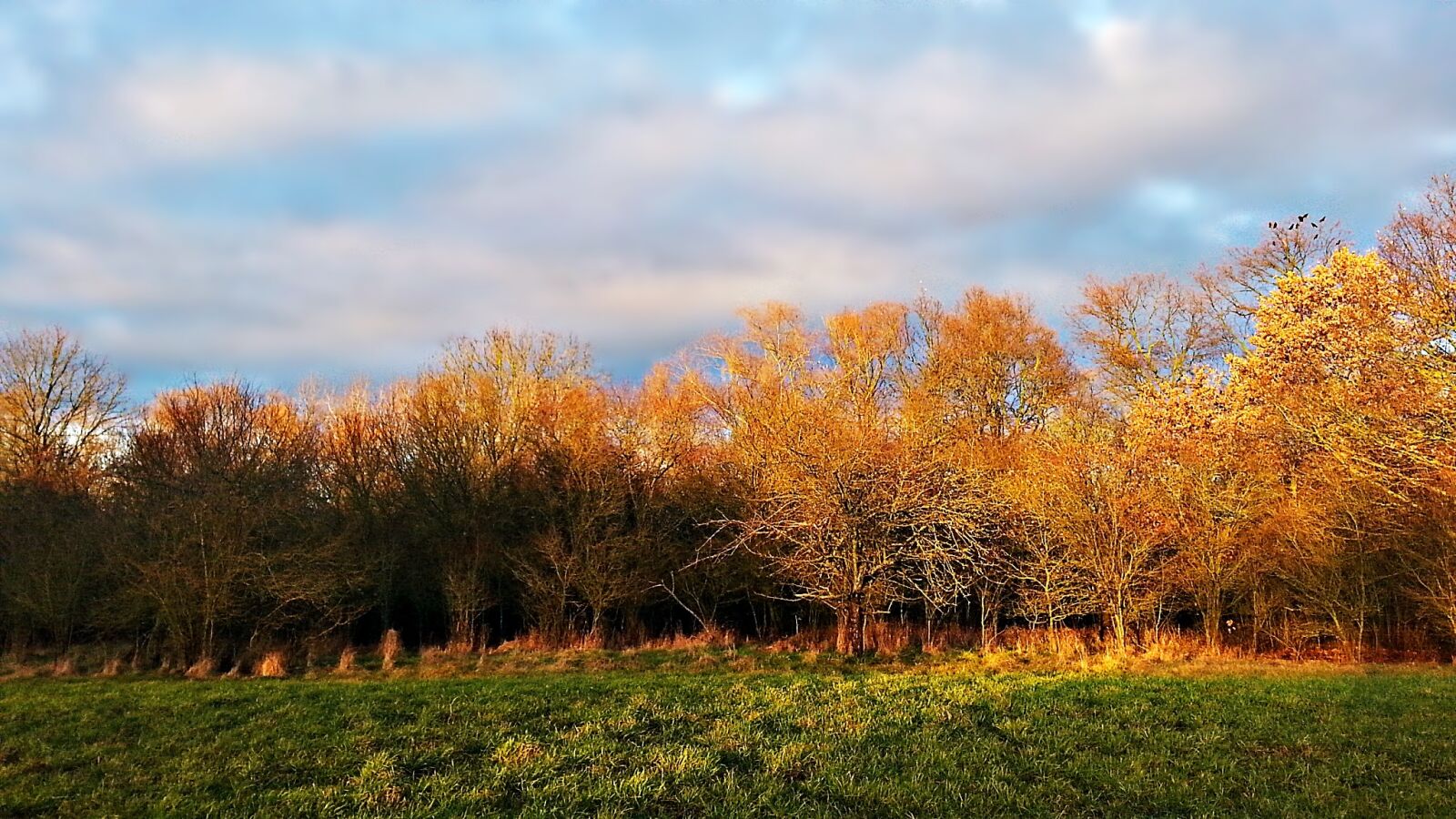 Samsung Galaxy S3 sample photo. Landscape, the sun, in photography