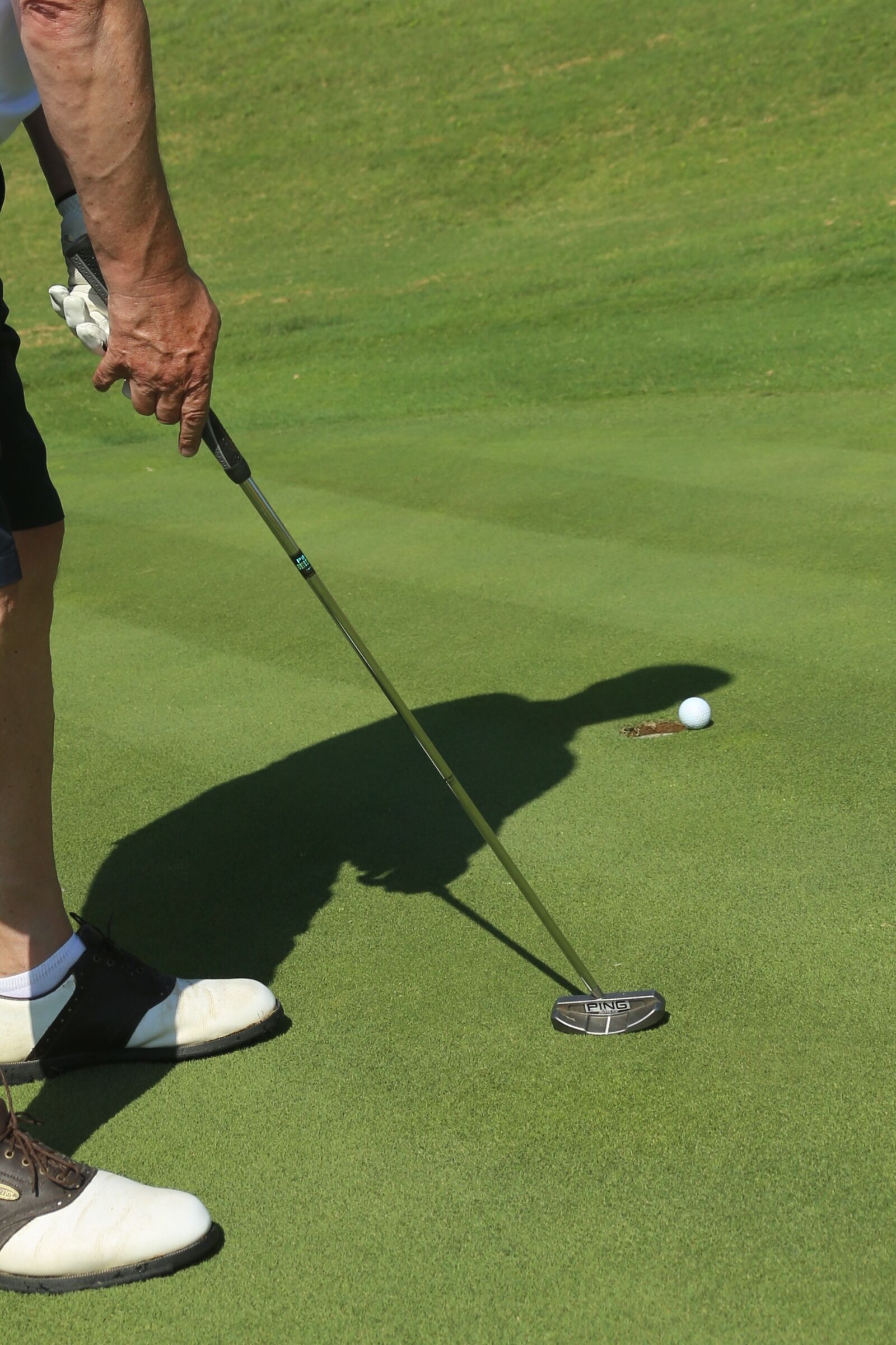 Canon EOS 6D sample photo. Golf, green, putting photography