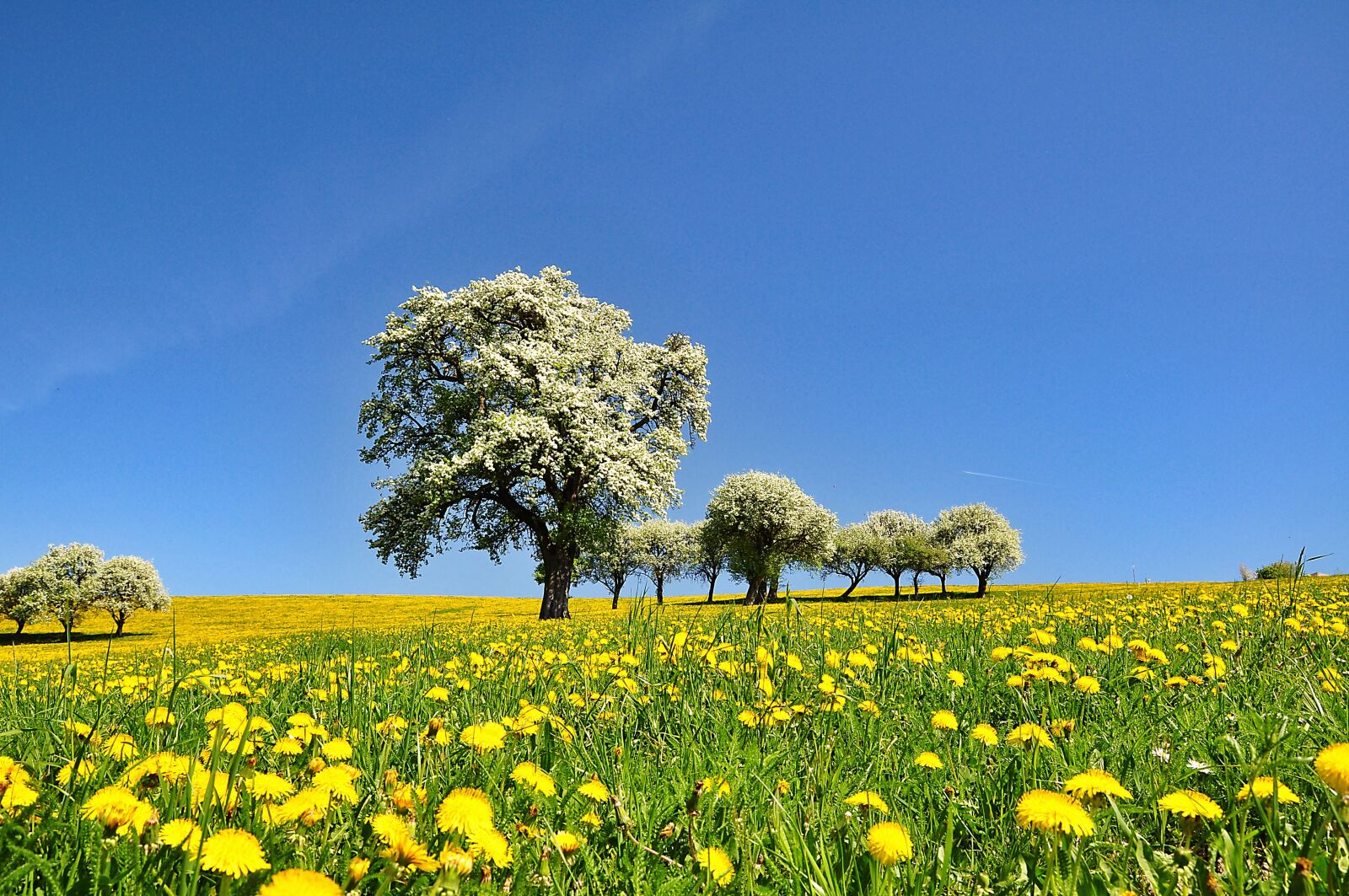Nikon D90 sample photo. Nature, landscape, spring photography