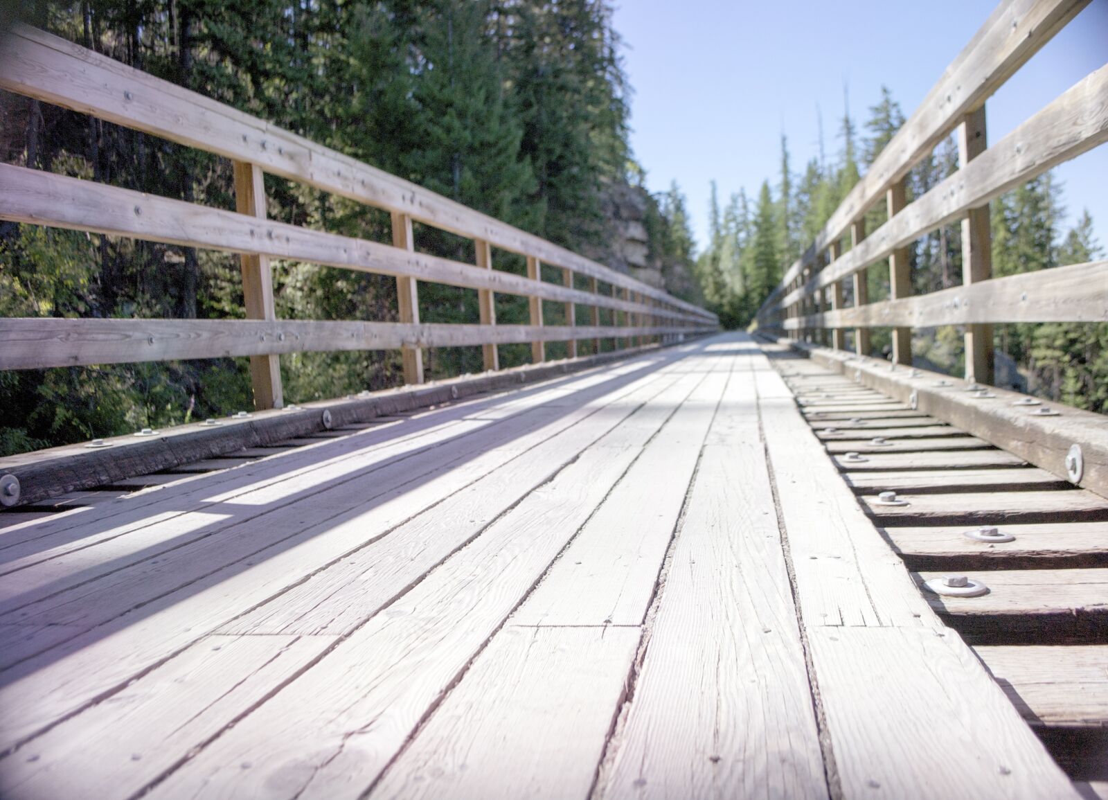Nikon D3100 sample photo. Train, trestle, bridge photography