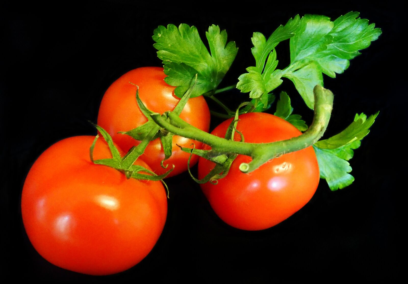 Olympus TG-5 sample photo. Tomatoes, truss, fresh photography