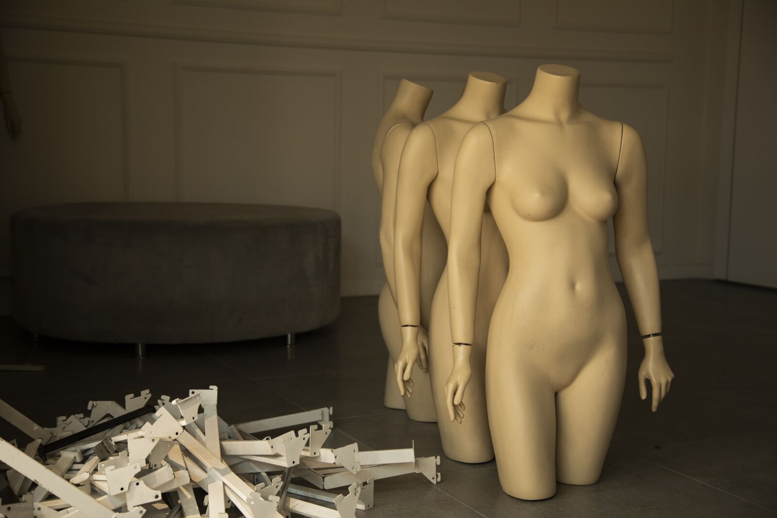 Canon EOS 5D Mark IV sample photo. Mannequin, model, body photography
