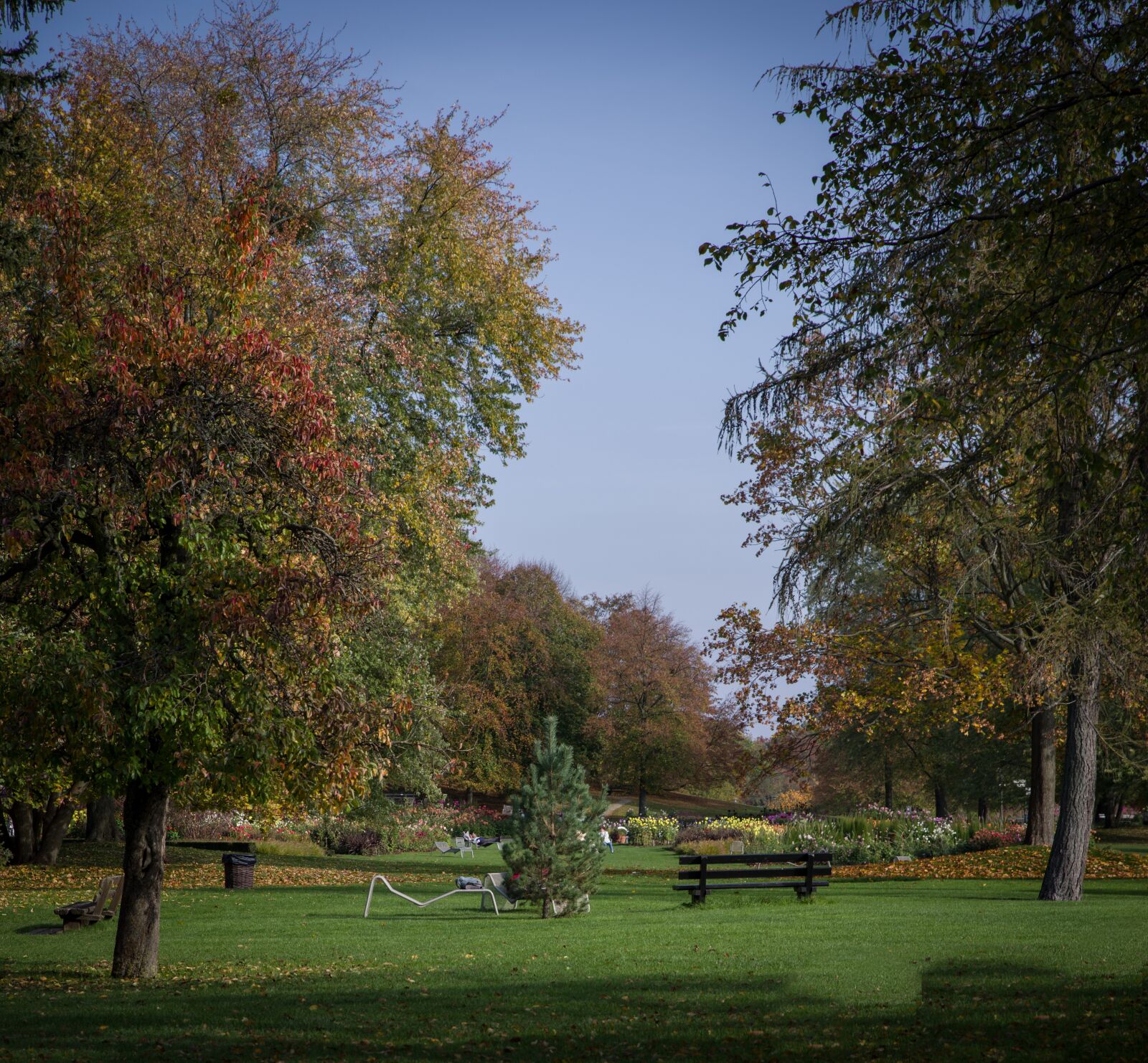 Pentax K-1 Mark II sample photo. Autumn, autumn colours, fall photography