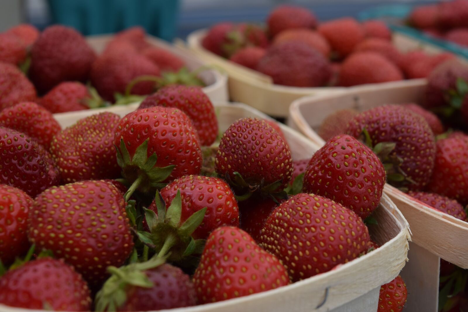 Nikon D3300 sample photo. Strawberries, fruit, strawberry photography