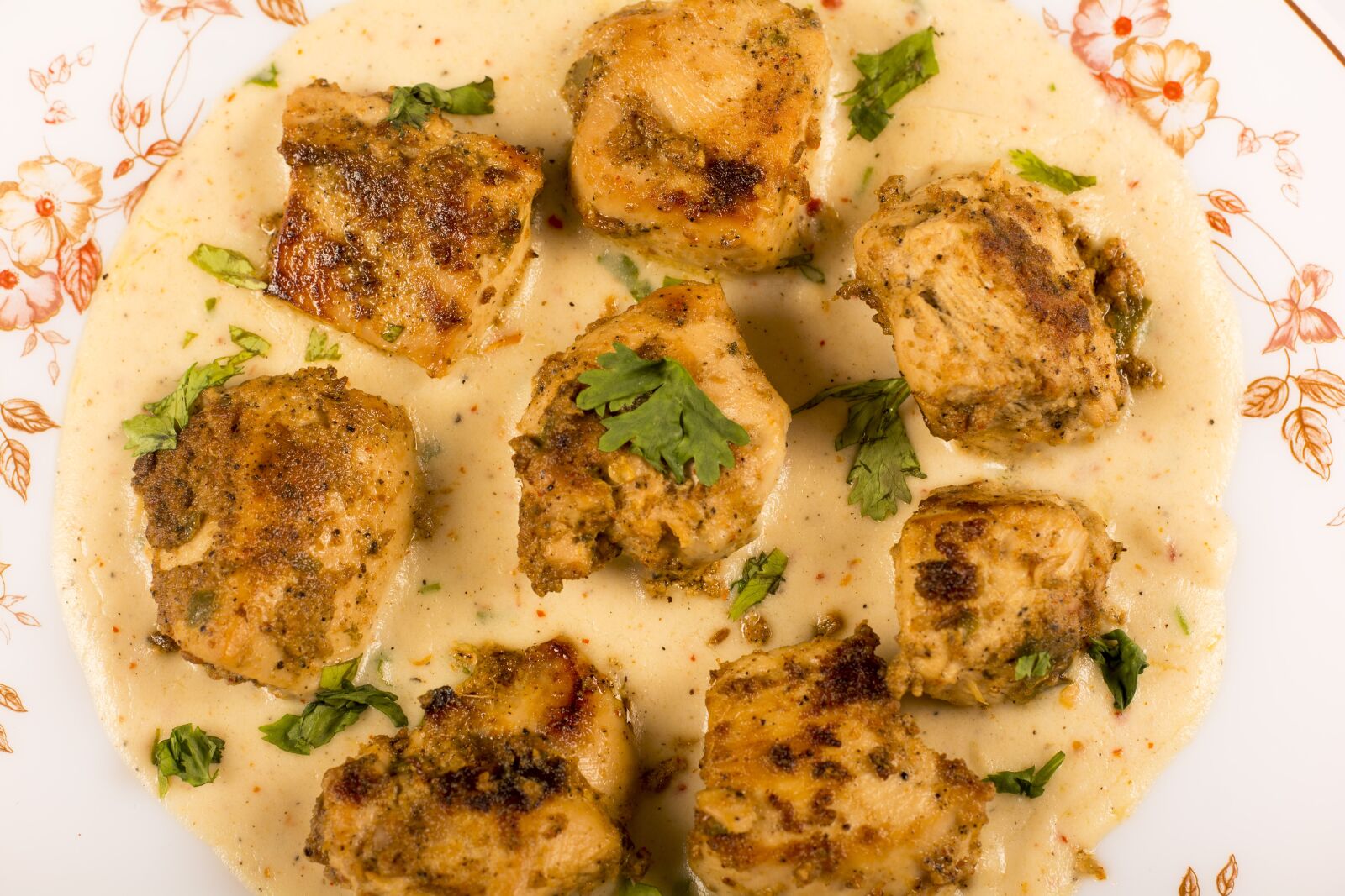 Nikon D5200 sample photo. Chicken with white sauce photography
