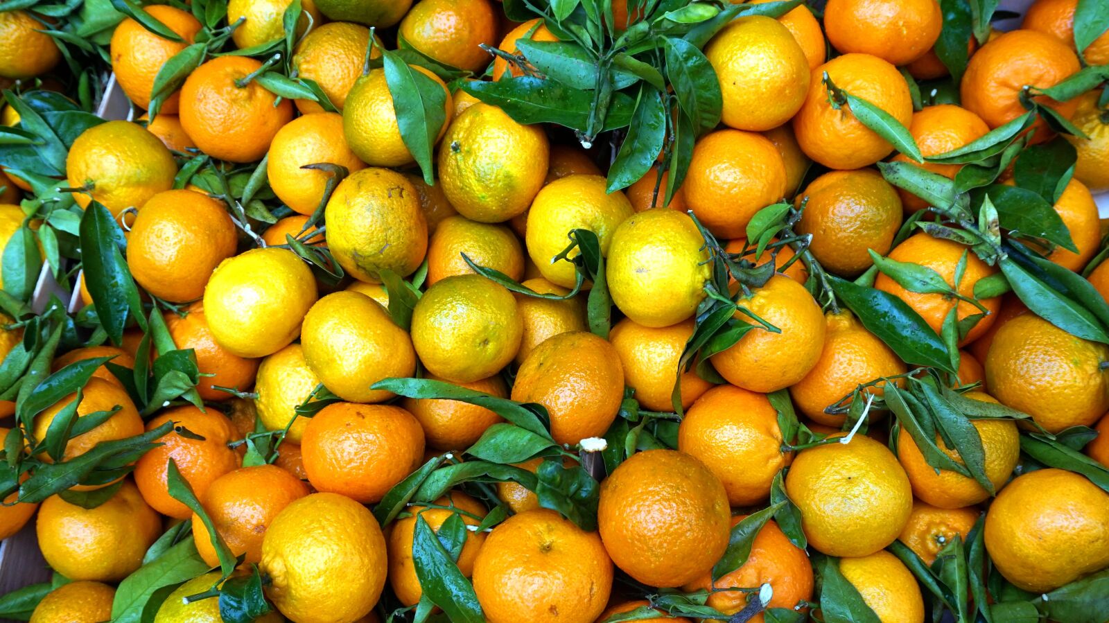 Sony E 16-50mm F3.5-5.6 PZ OSS sample photo. Fruit, tangerines, vitamins photography