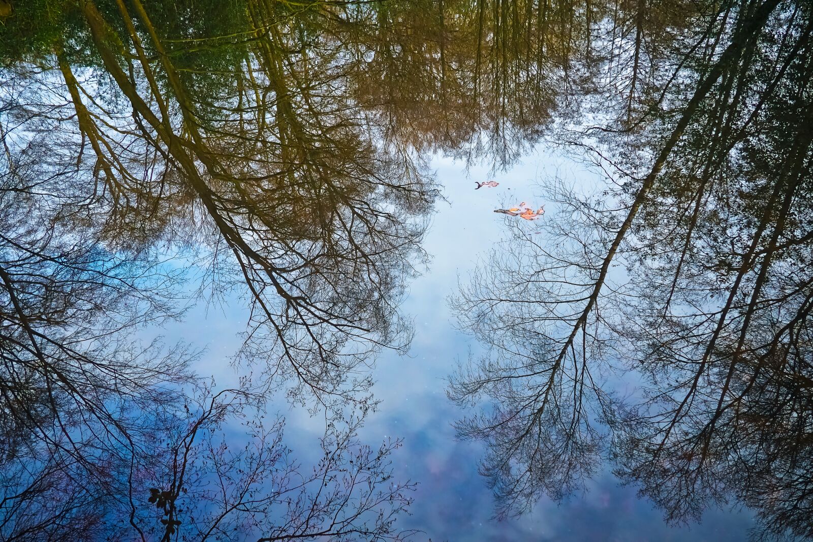 Olympus OM-D E-M10 sample photo. Trees, lake, reflection photography