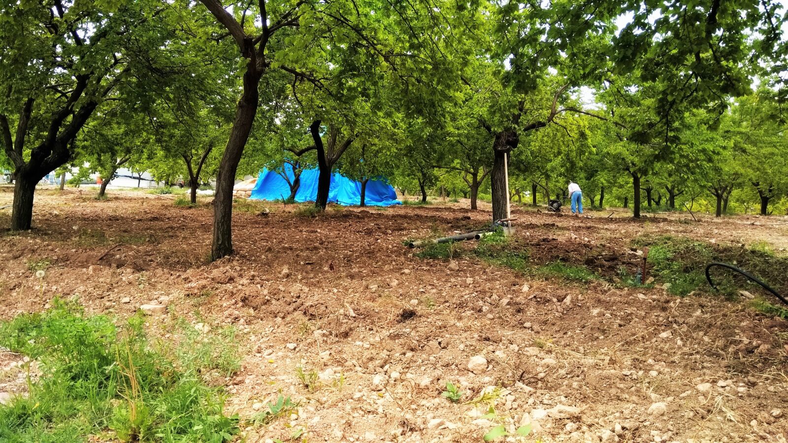 General Mobile GM 5 Plus sample photo