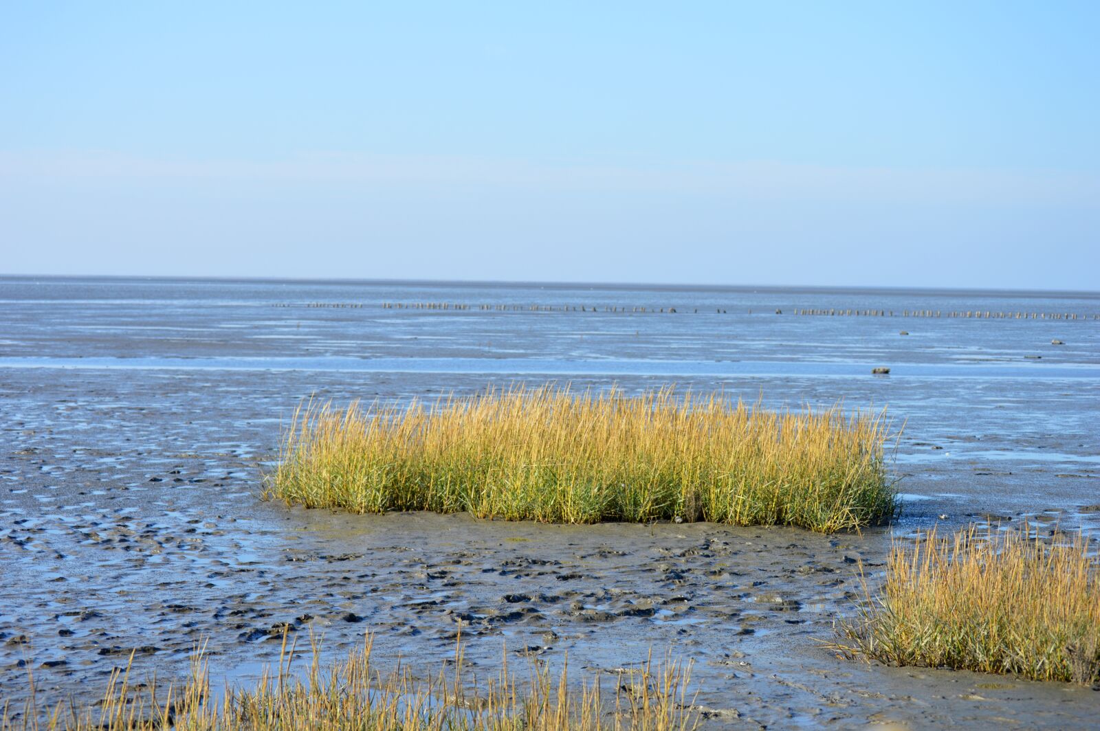 Nikon D3200 sample photo. The wadden sea of photography