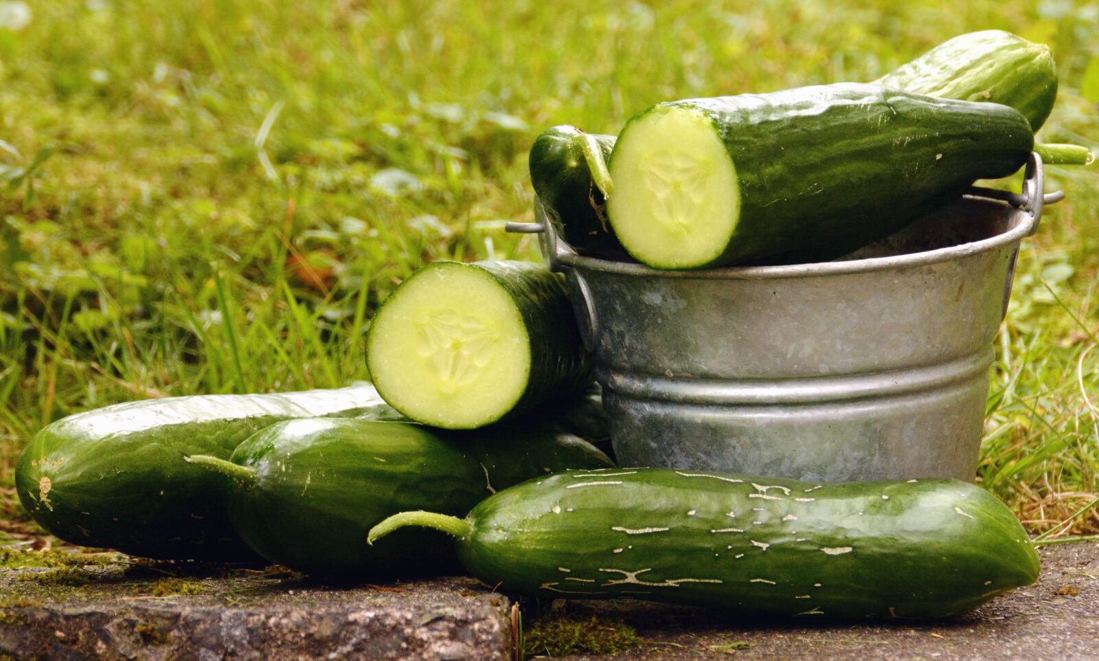 Nikon D5200 sample photo. Cucumber, bucket, salad, herb photography