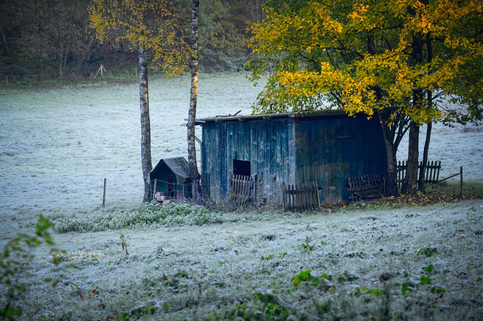 Nikon Z6 sample photo. Hut, wood, rural photography