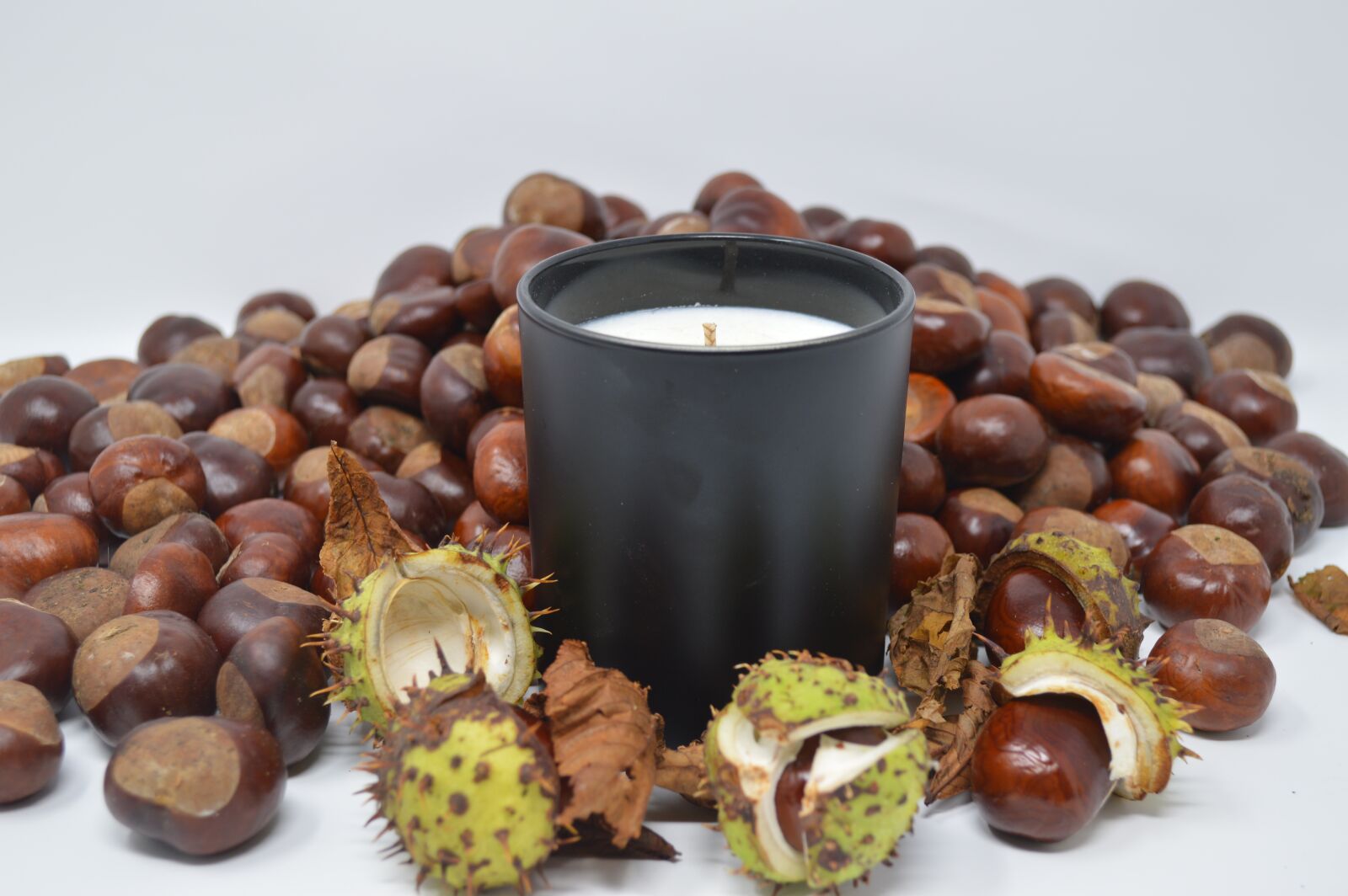Nikon D3200 sample photo. Conker, conkers, horse chestnut photography