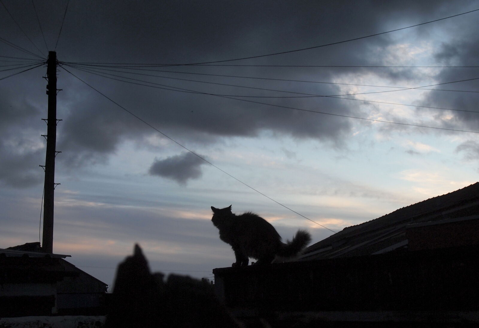 Olympus PEN E-PL2 sample photo