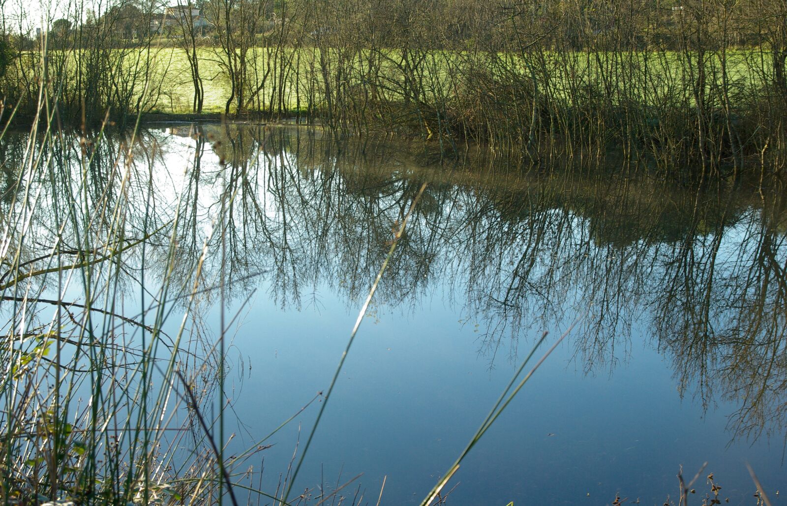 Pentax K10D sample photo. Pond, winter, lake photography