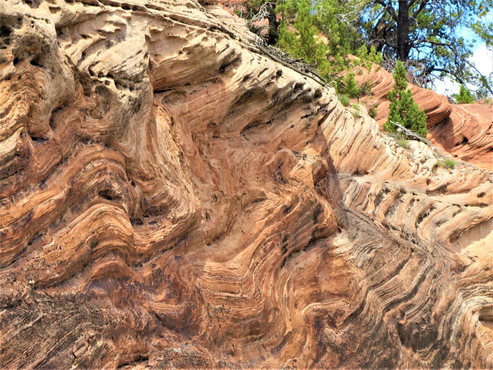 Canon PowerShot SX50 HS sample photo. Rock formation, hiking, utah photography