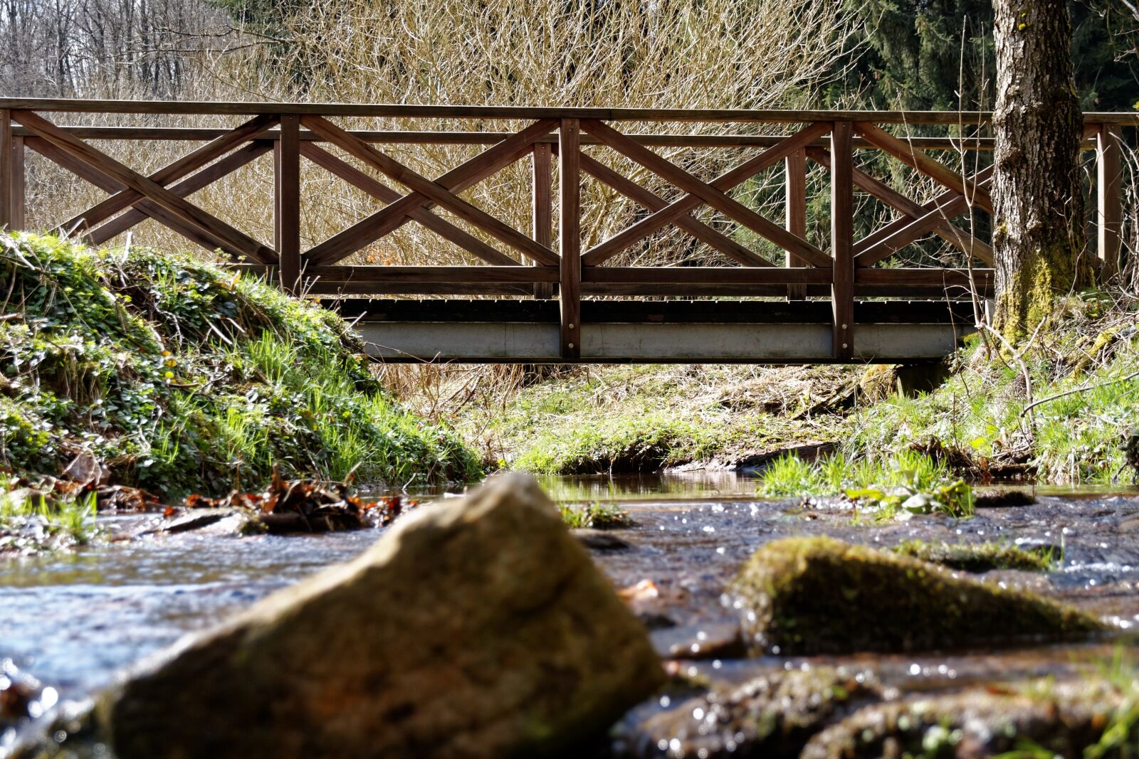 Canon EOS 30D sample photo. Bach, water, forest photography