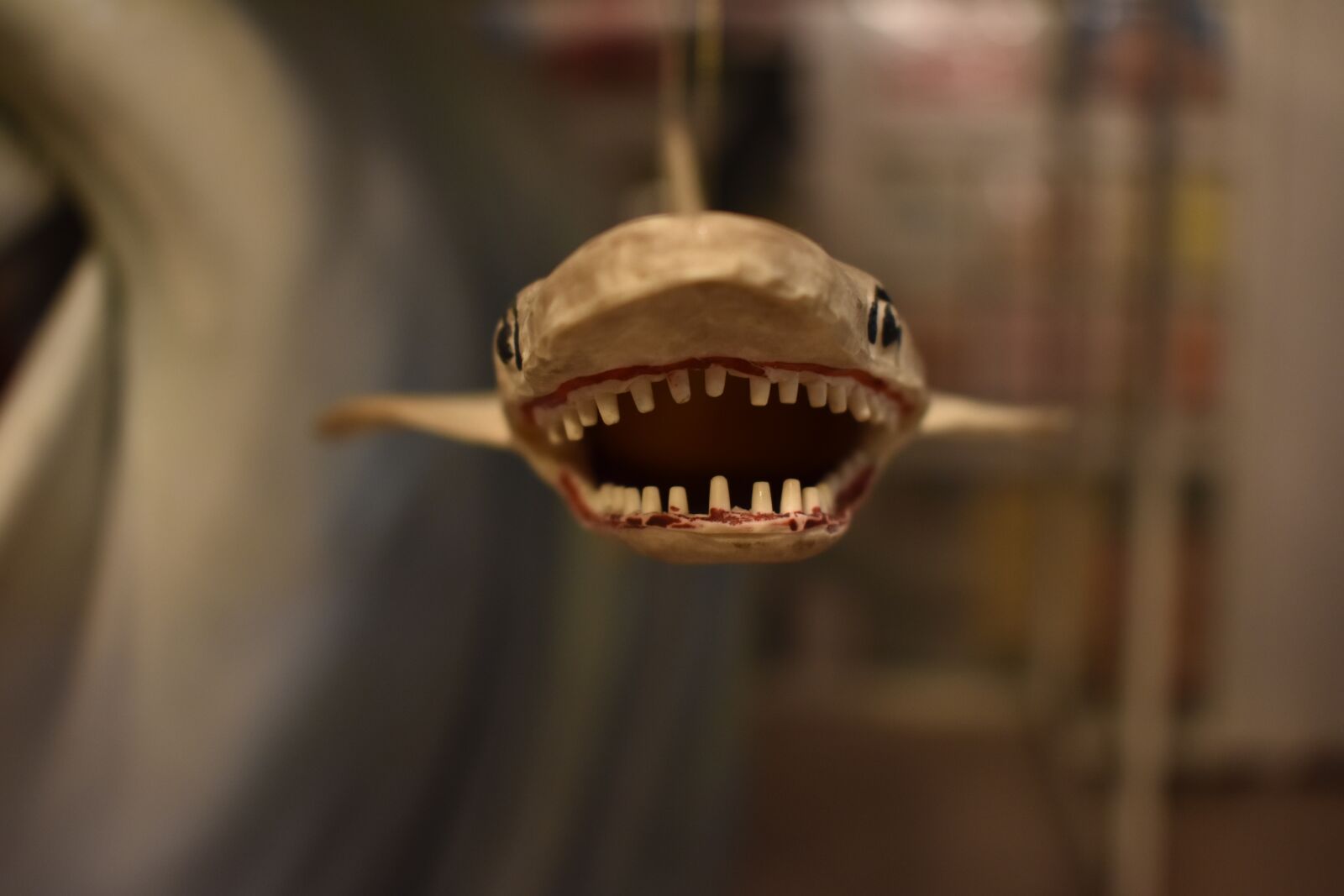 Nikon D3400 sample photo. Tiburón, shark, fish photography