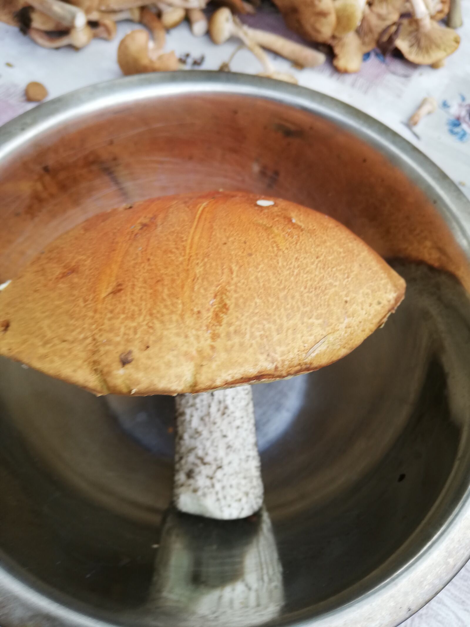 HUAWEI ANE-LX1 sample photo. Mushroom, brown, food photography