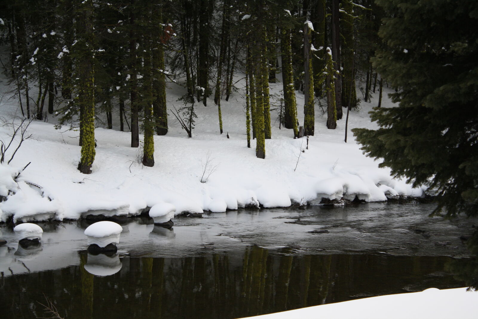 Canon EOS 1000D (EOS Digital Rebel XS / EOS Kiss F) sample photo. Cupcake, nature, peaceful, river photography